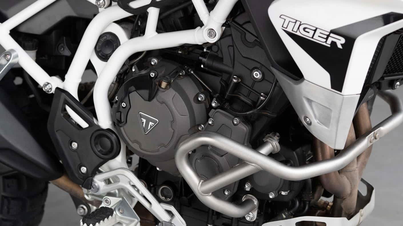 Tiger 900 Rally Pro Engine close-up
