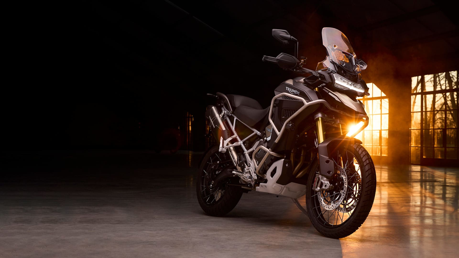 Tiger 1200 Rally Explorer 2024