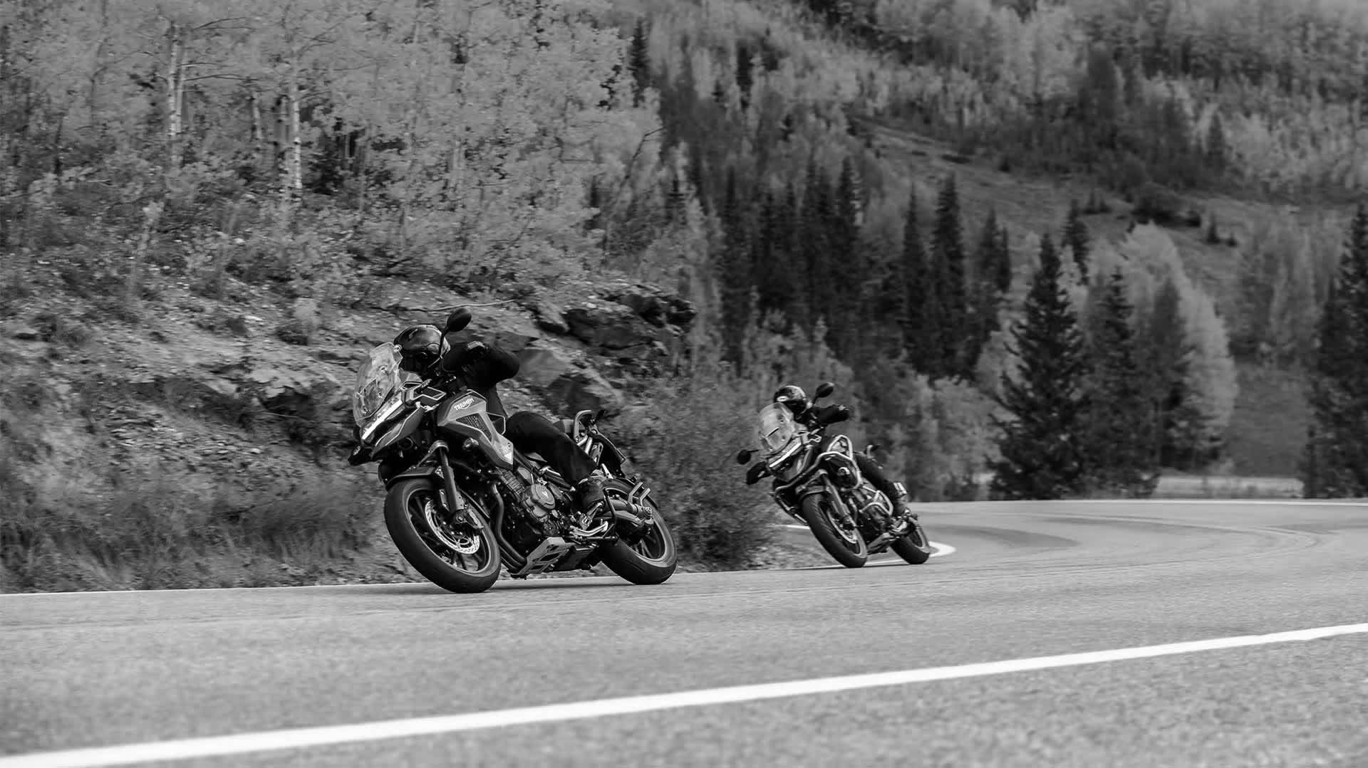 Triumph Tiger 1200 GT Pro