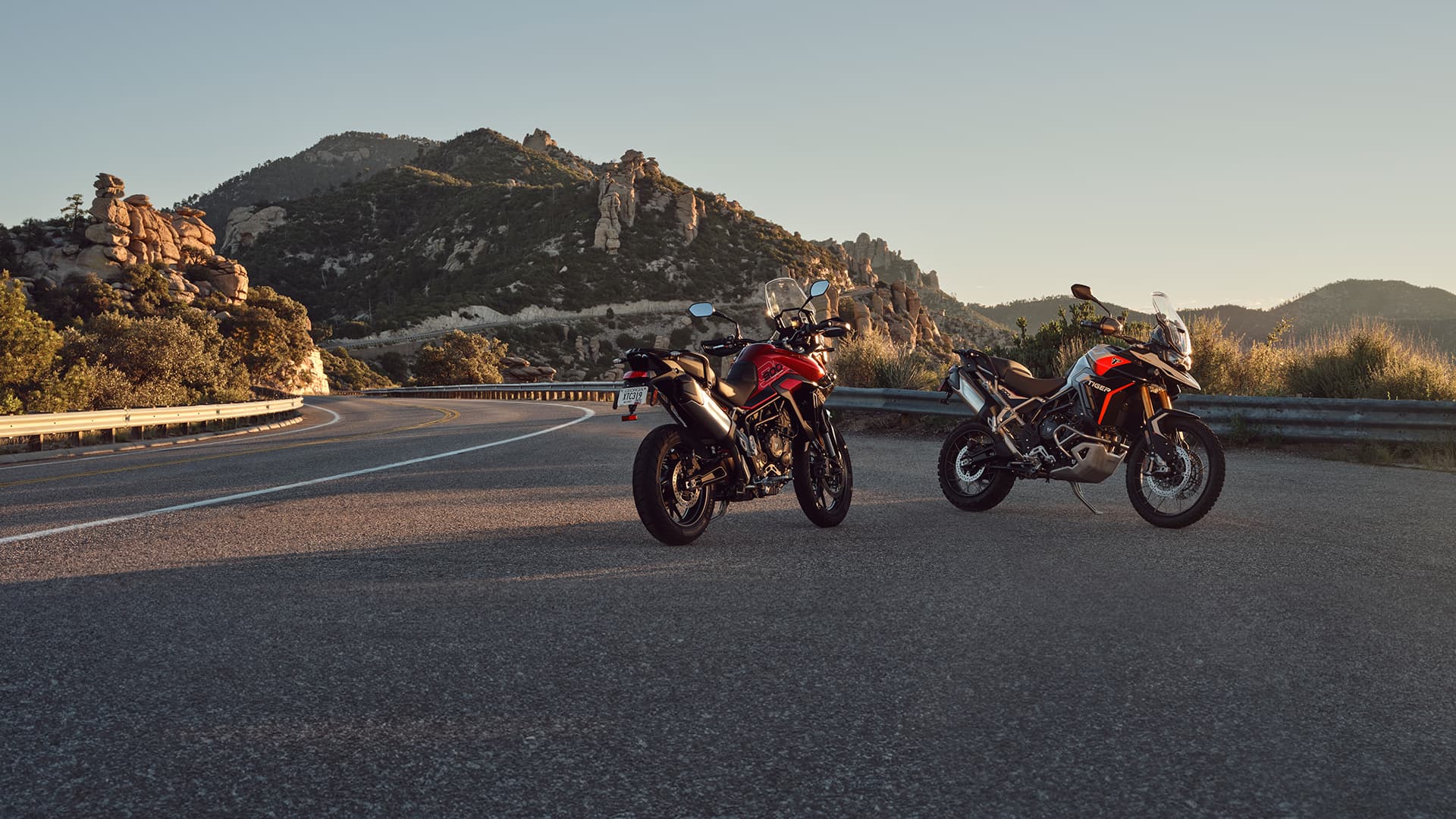Triumph Tiger 900 family