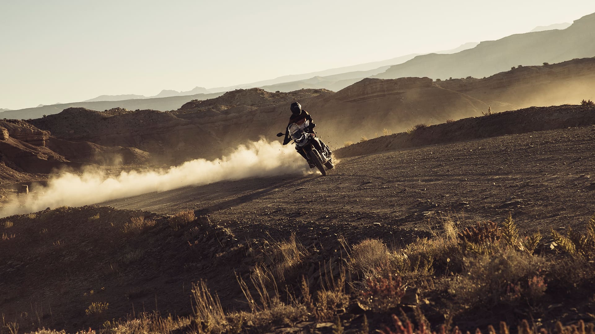 Triumph Tiger 900 Rally off road 