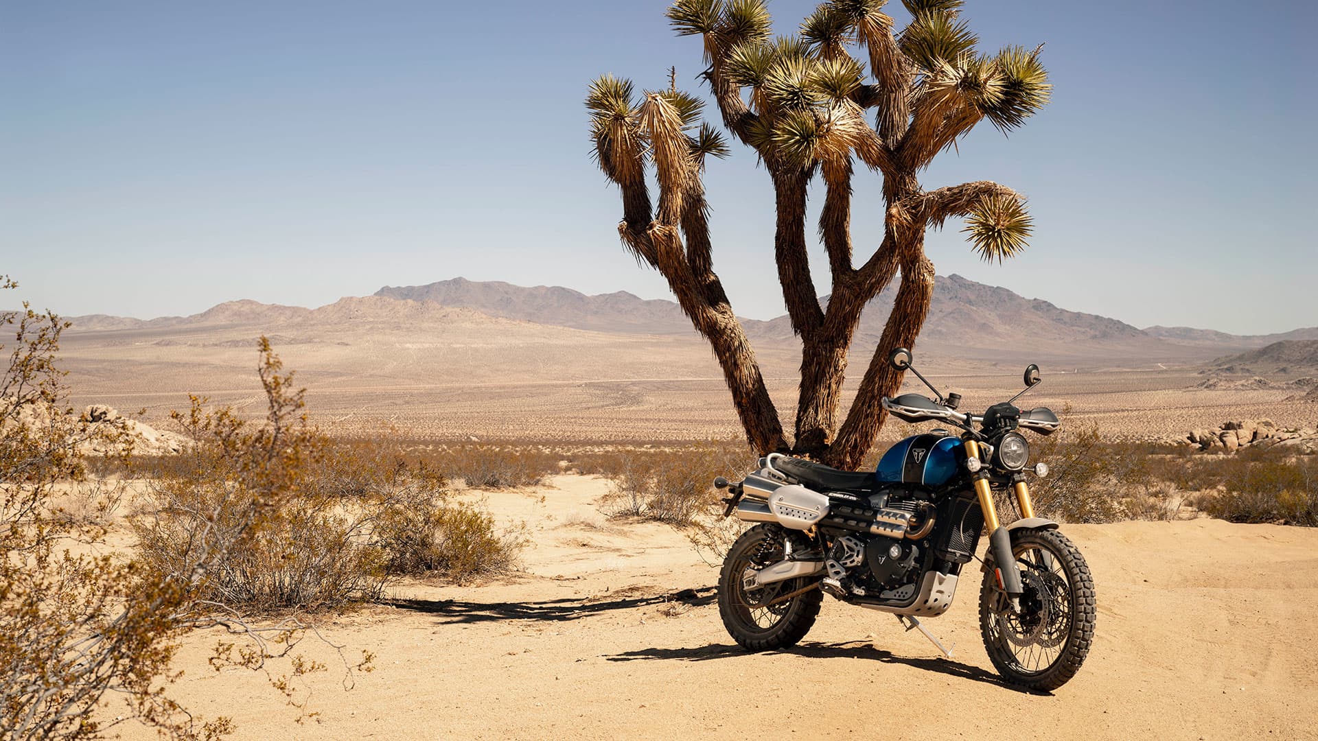 Triumph Scrambler 1200 XE Stationary in desert setting gleaming in the sunshine