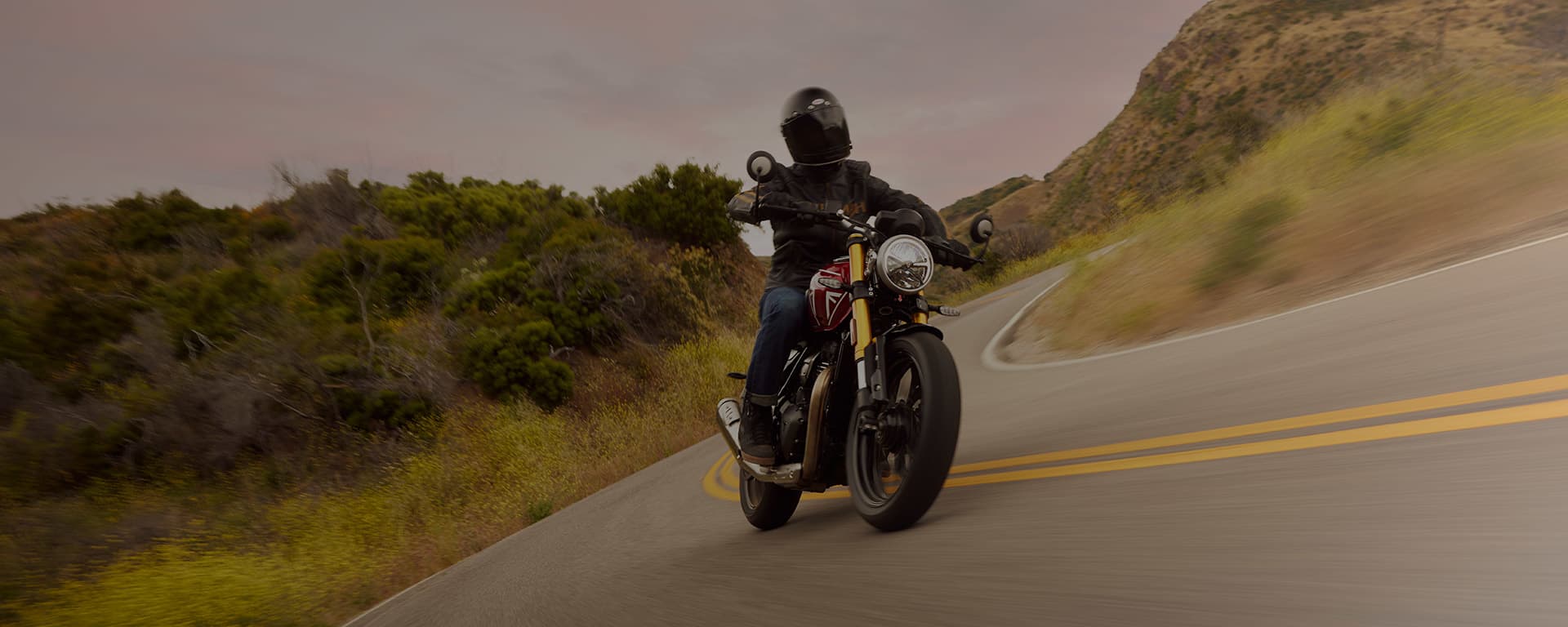 Triumph Speed 400)