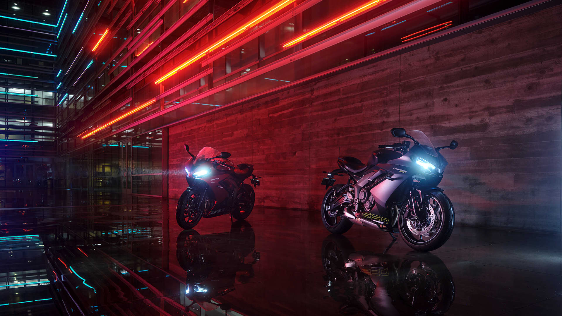 Two Triumph Daytona 660