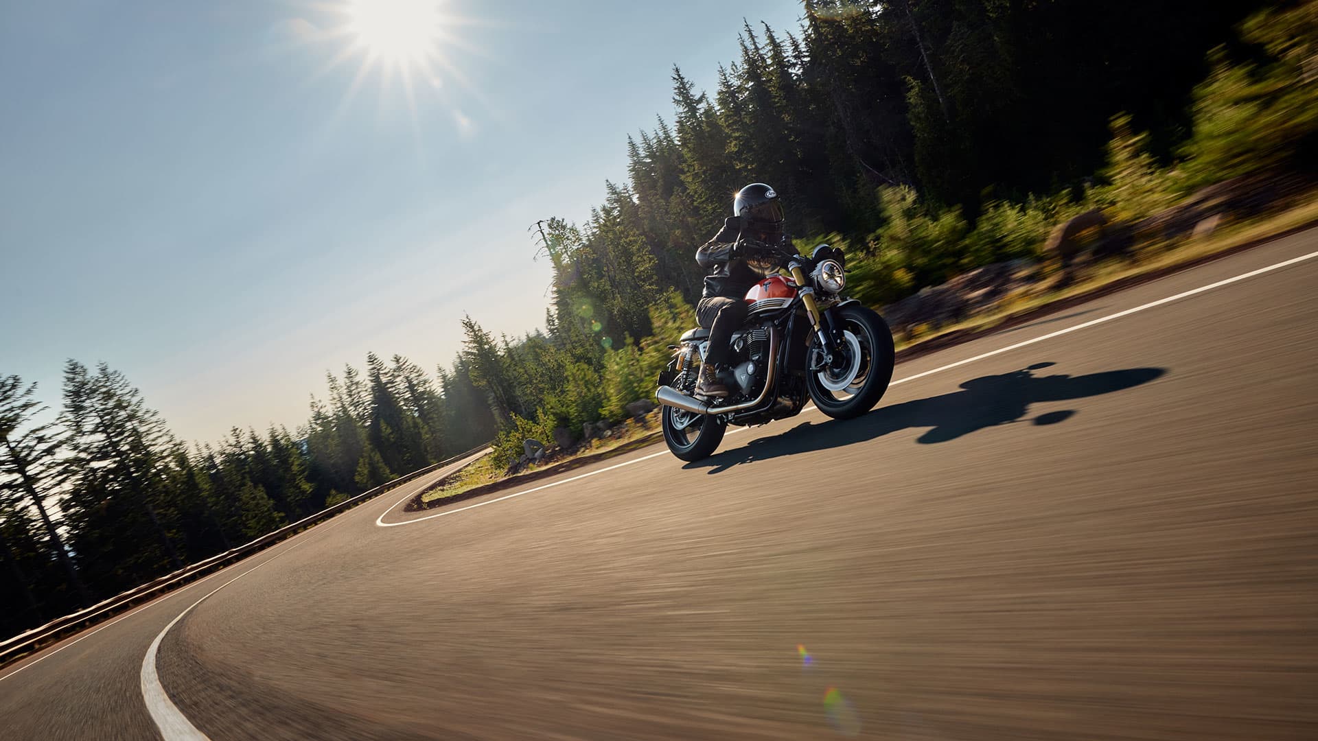 Triumph Speed Twin 1200 RS riding shot through a forest