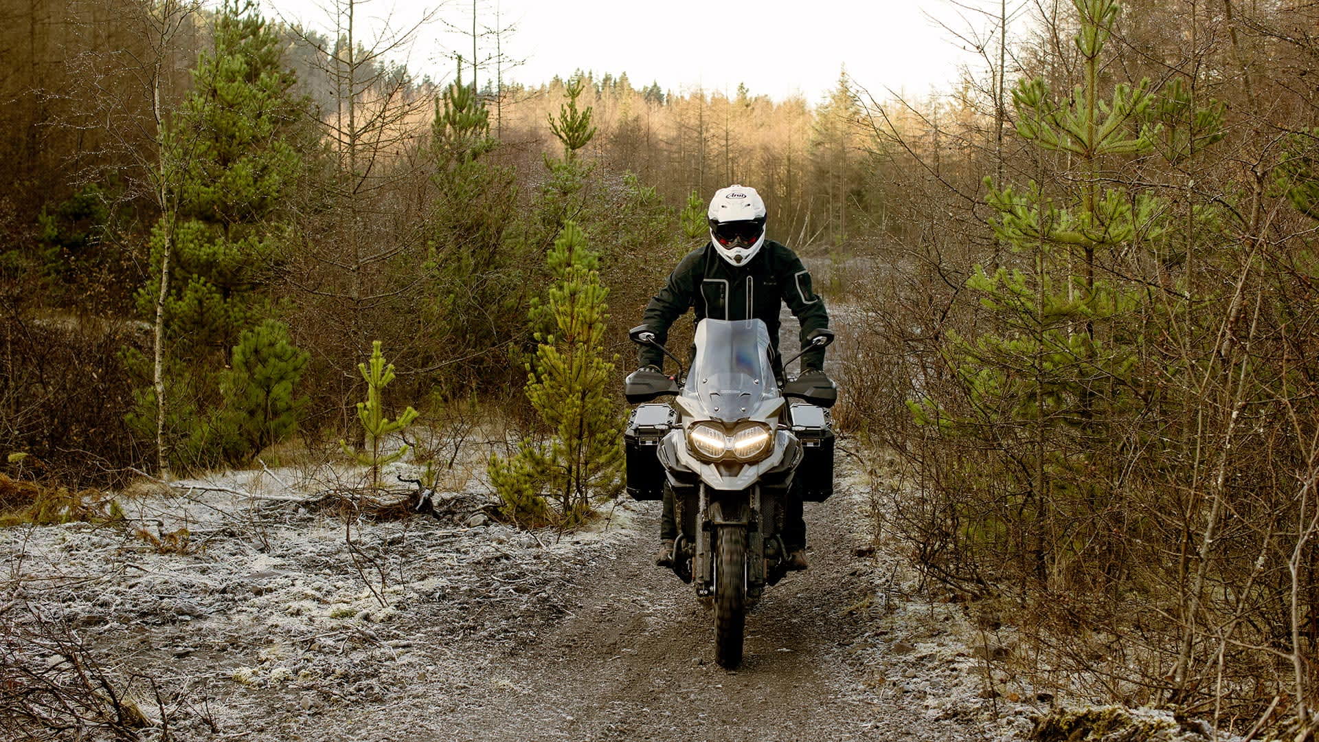 Tiger 1200 Desert Edition