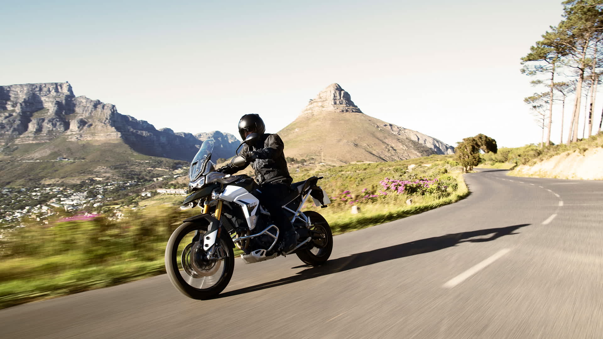 Tiger 900 Rally
