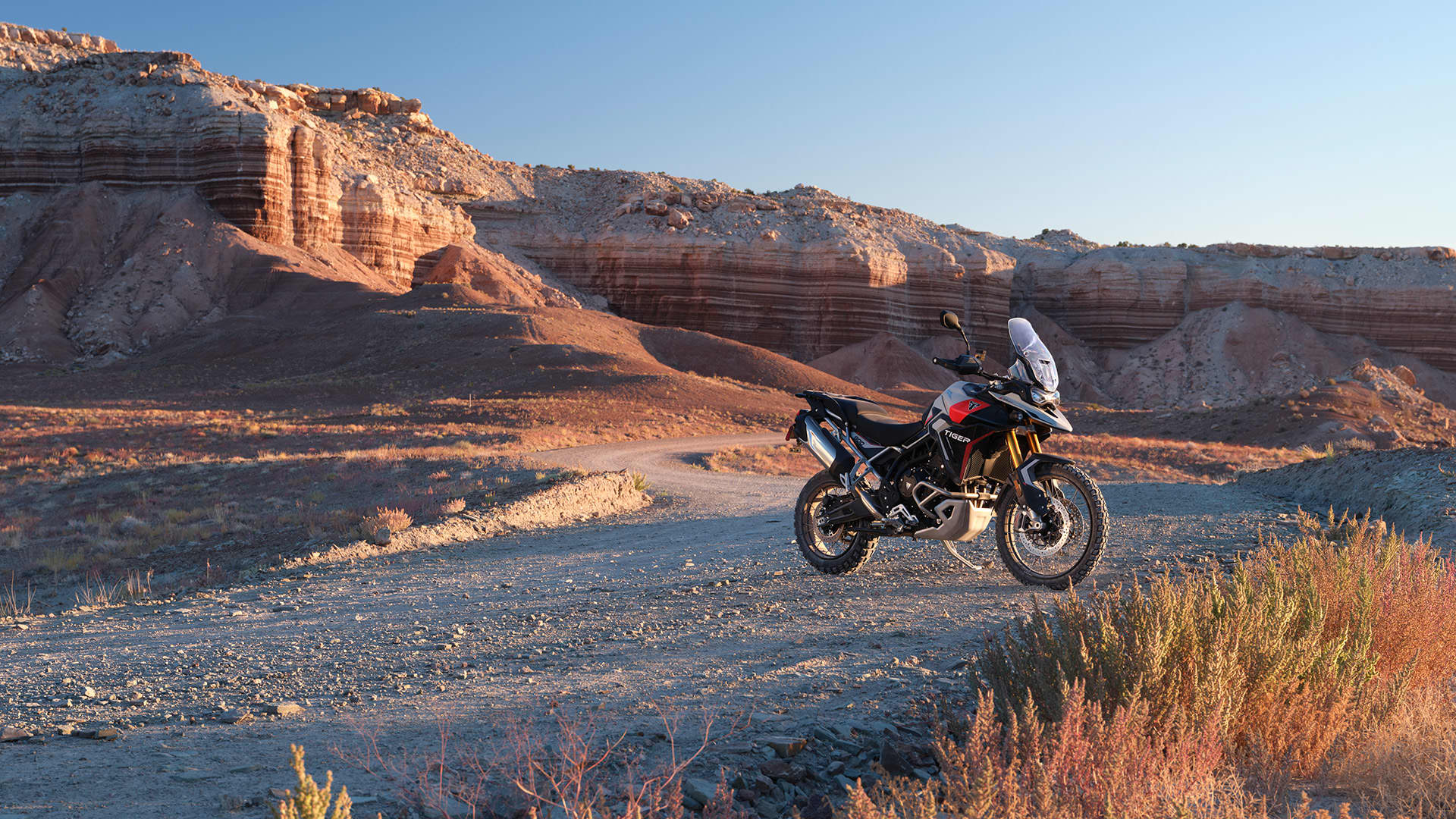 Stationary Triumph Tiger 900 Rally Pro in Ash grey and Intense orange