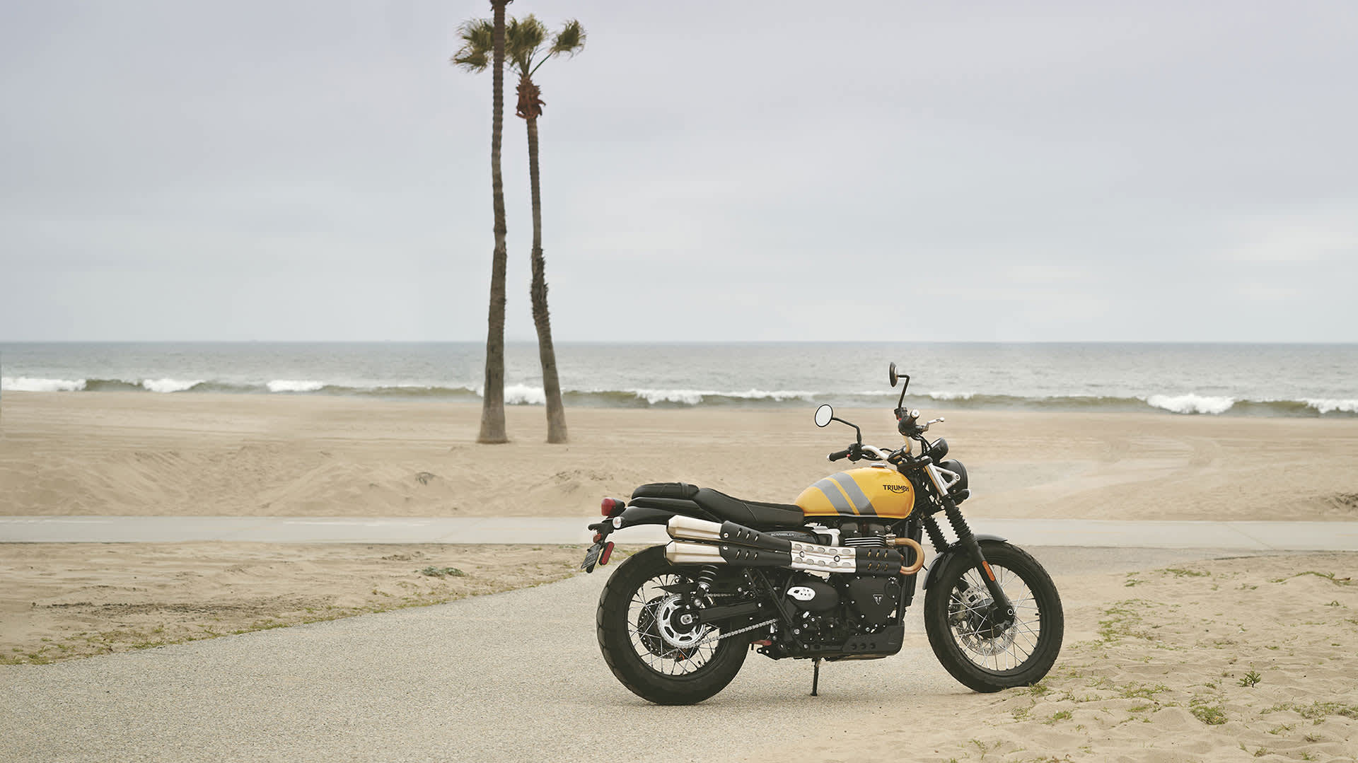 triumph scrambler 900