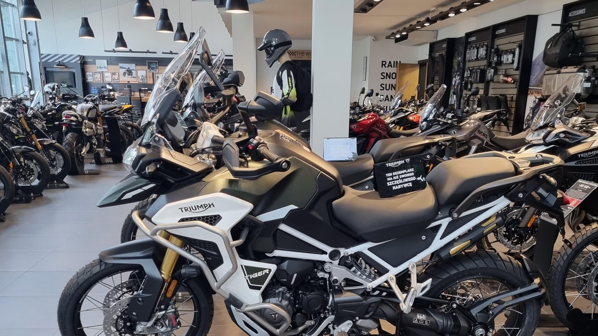 Side view stationary shot of Triumph Tiger bike