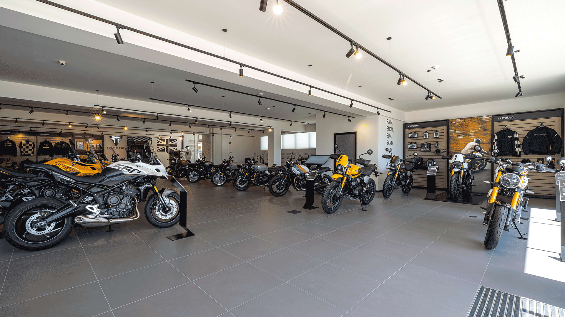 Triumph bikes in Triumph Porto dealership