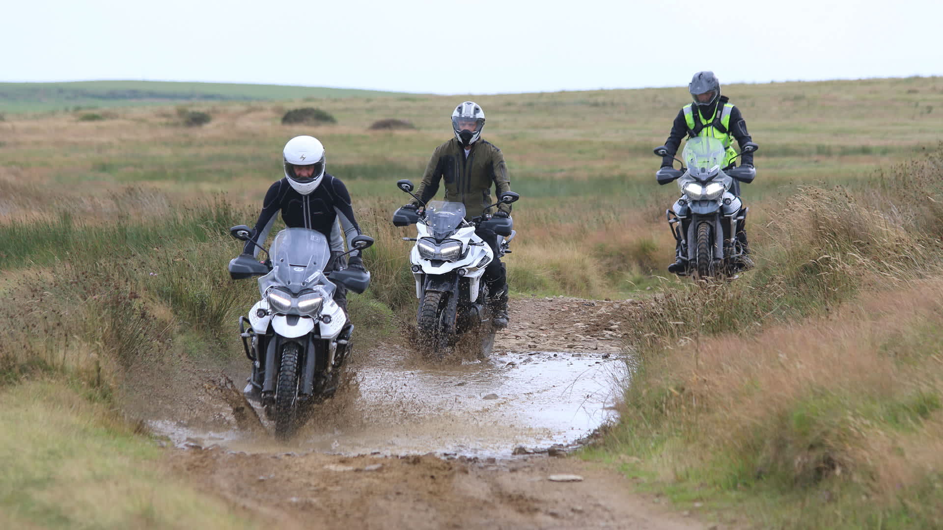 Tiger experience day with riders going across water and advanced trails