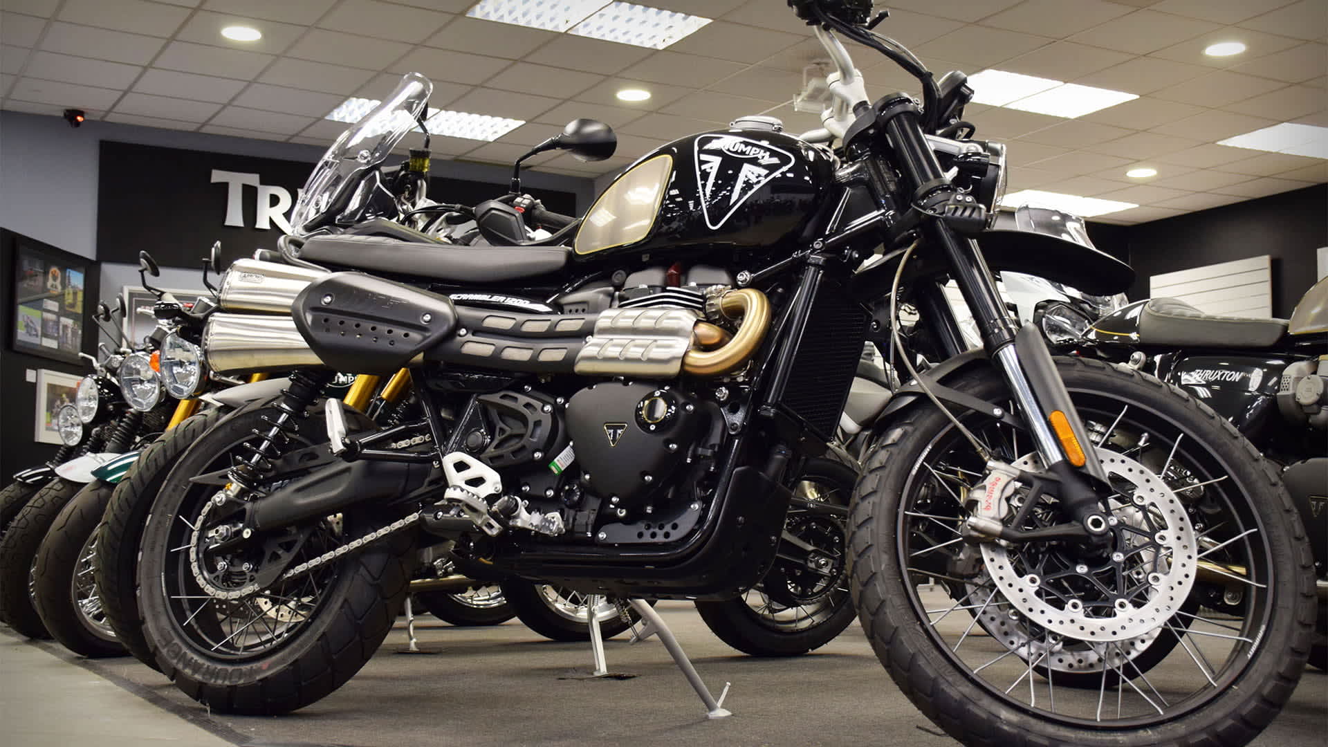 Triumph motorcycles dealership in Maidstone - Laguna Motorcycles