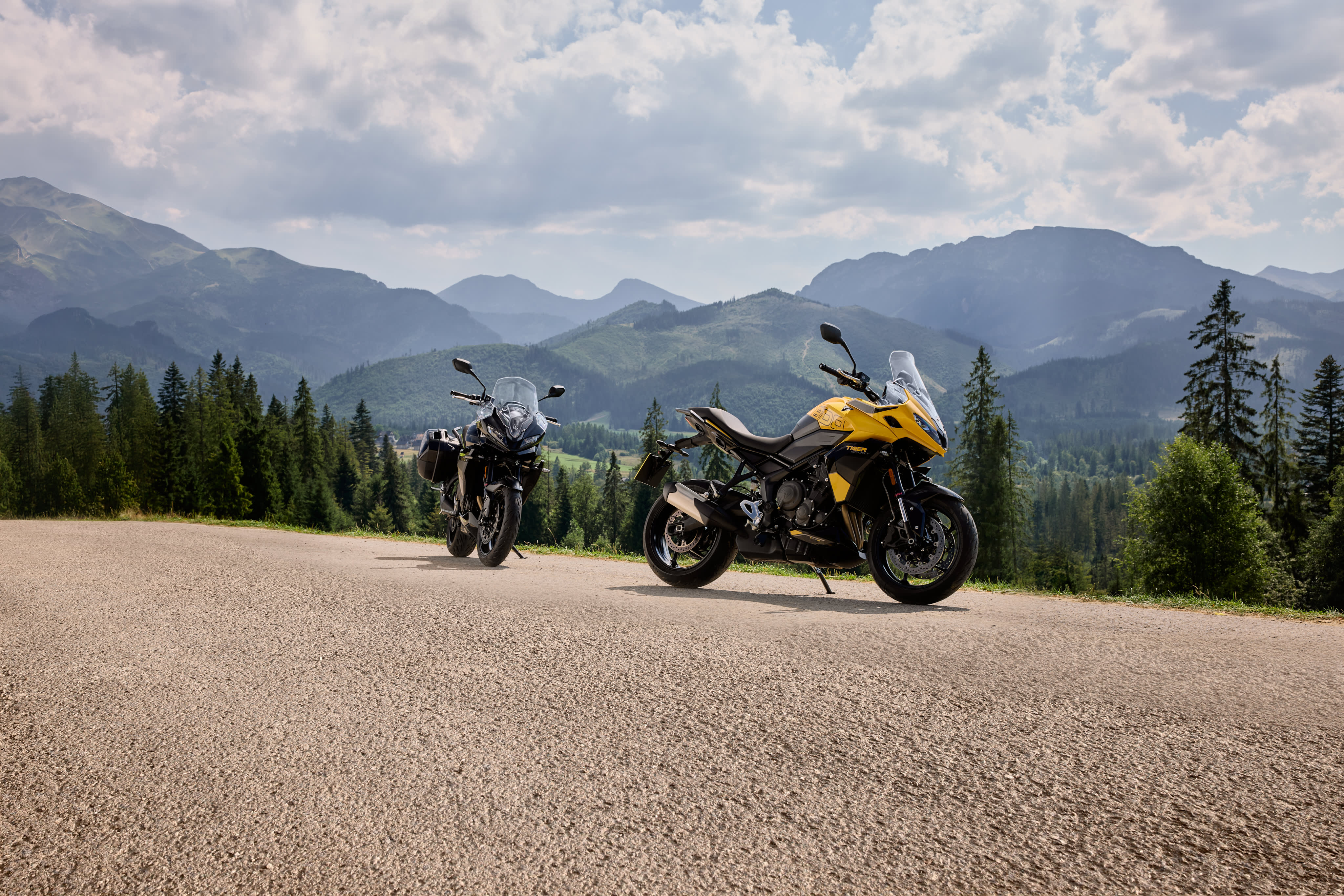 Tiger 800