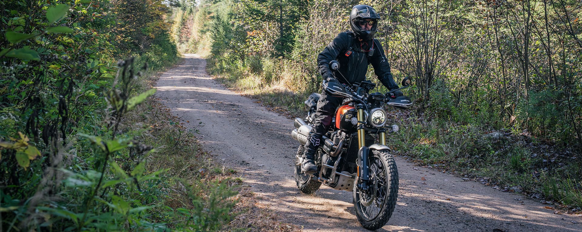 BDRX Adirondacks