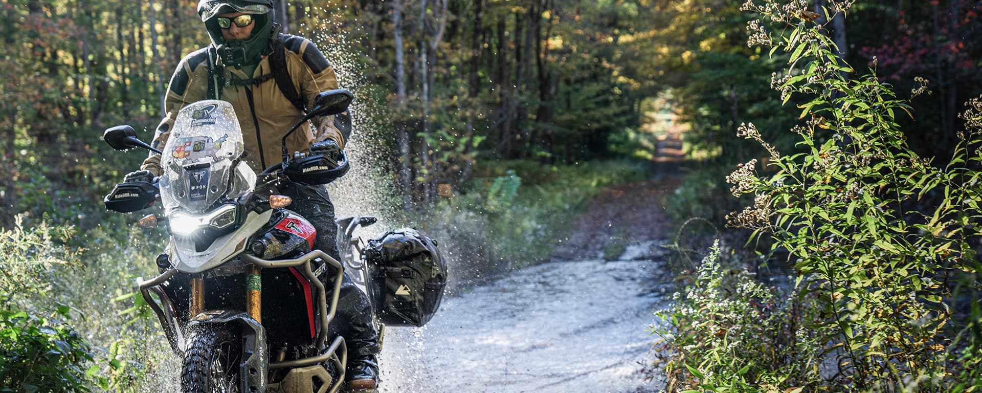 BDRX Adirondacks