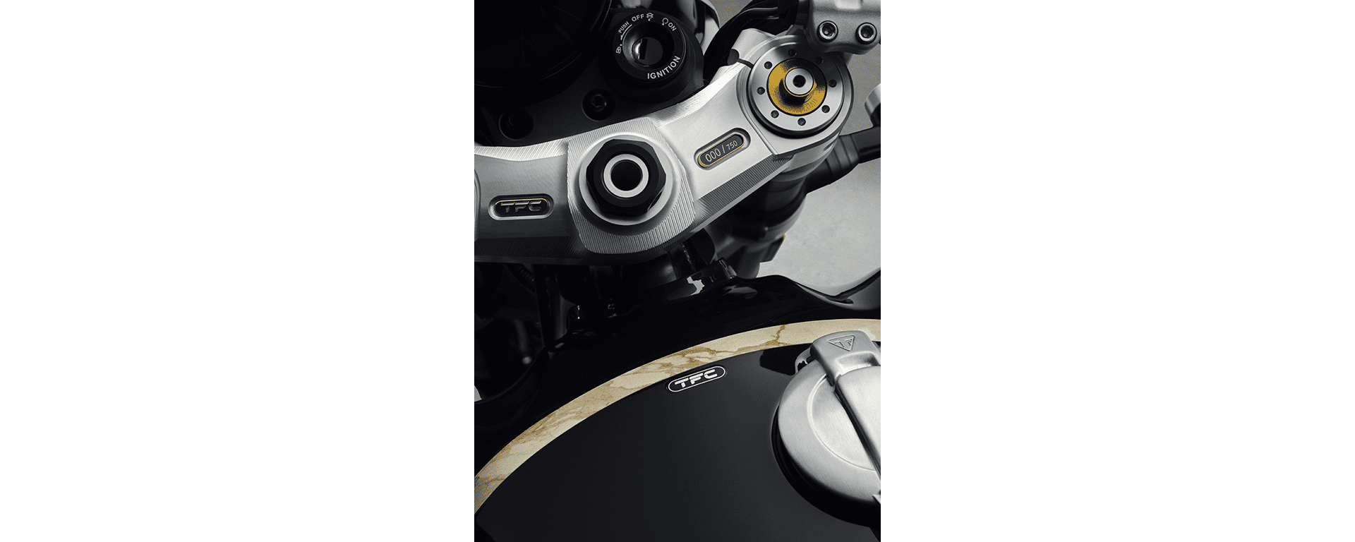 Speed Twin 1200 TFC