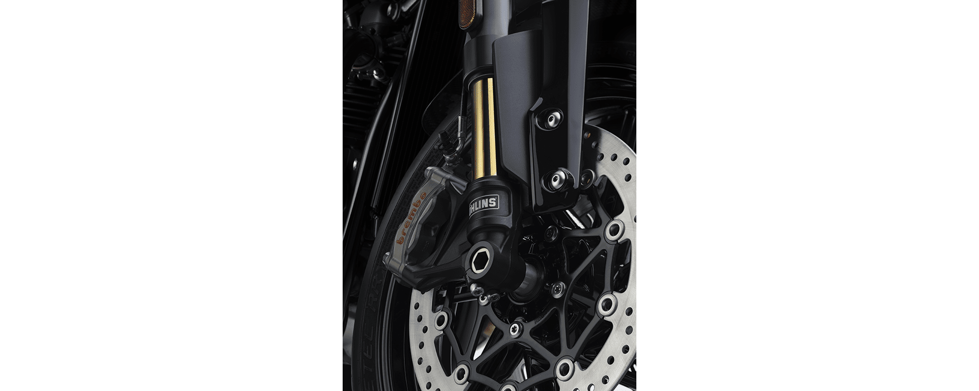 Speed Twin 1200 TFC