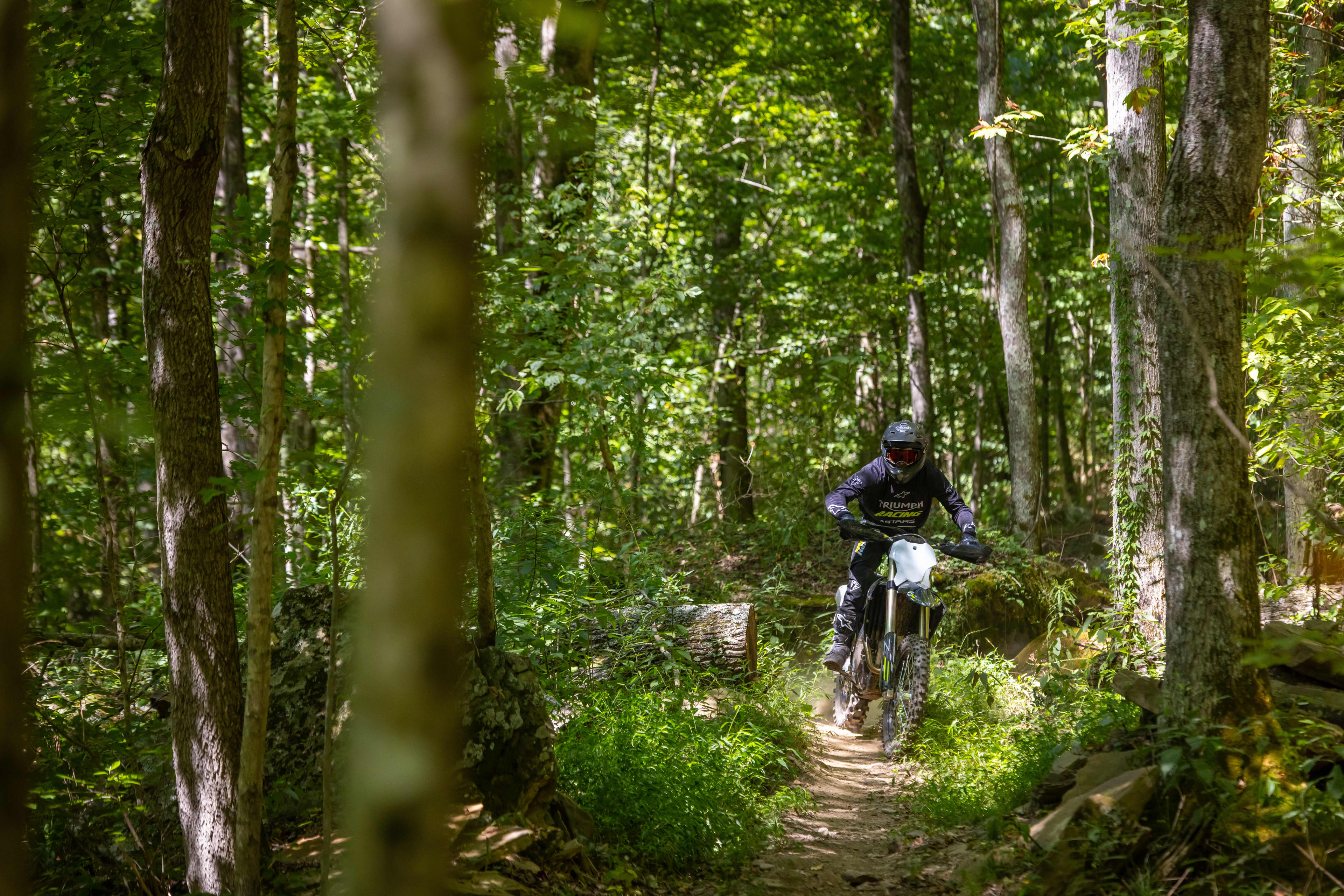Quickshifter Triumph Cross Country motorcycle going through a greenery forest