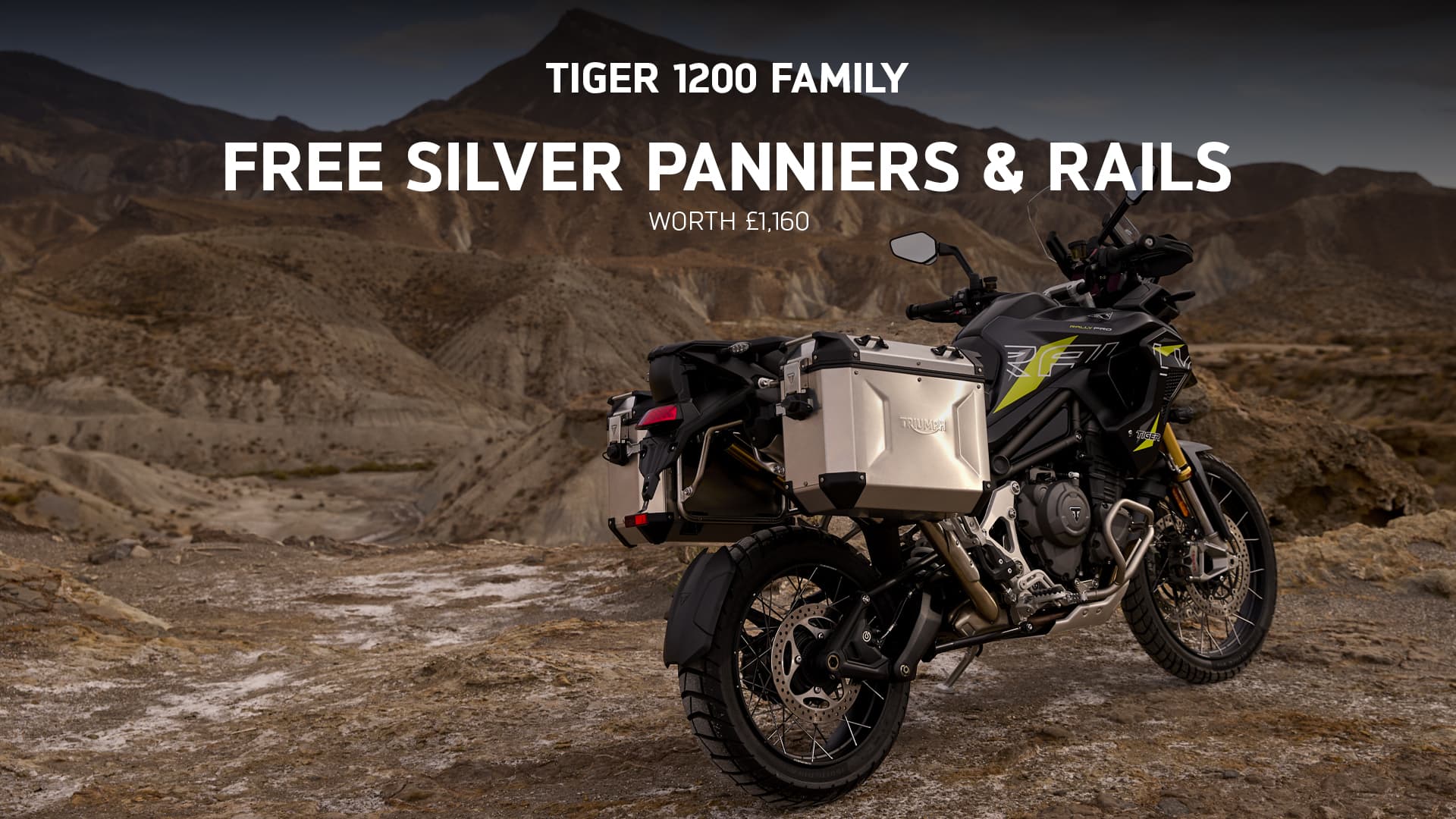 Tiger 1200 Family