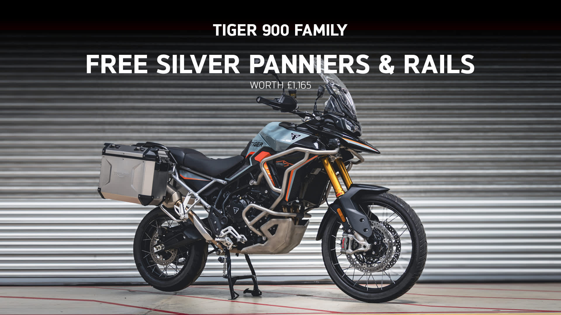 Tiger 900 Family