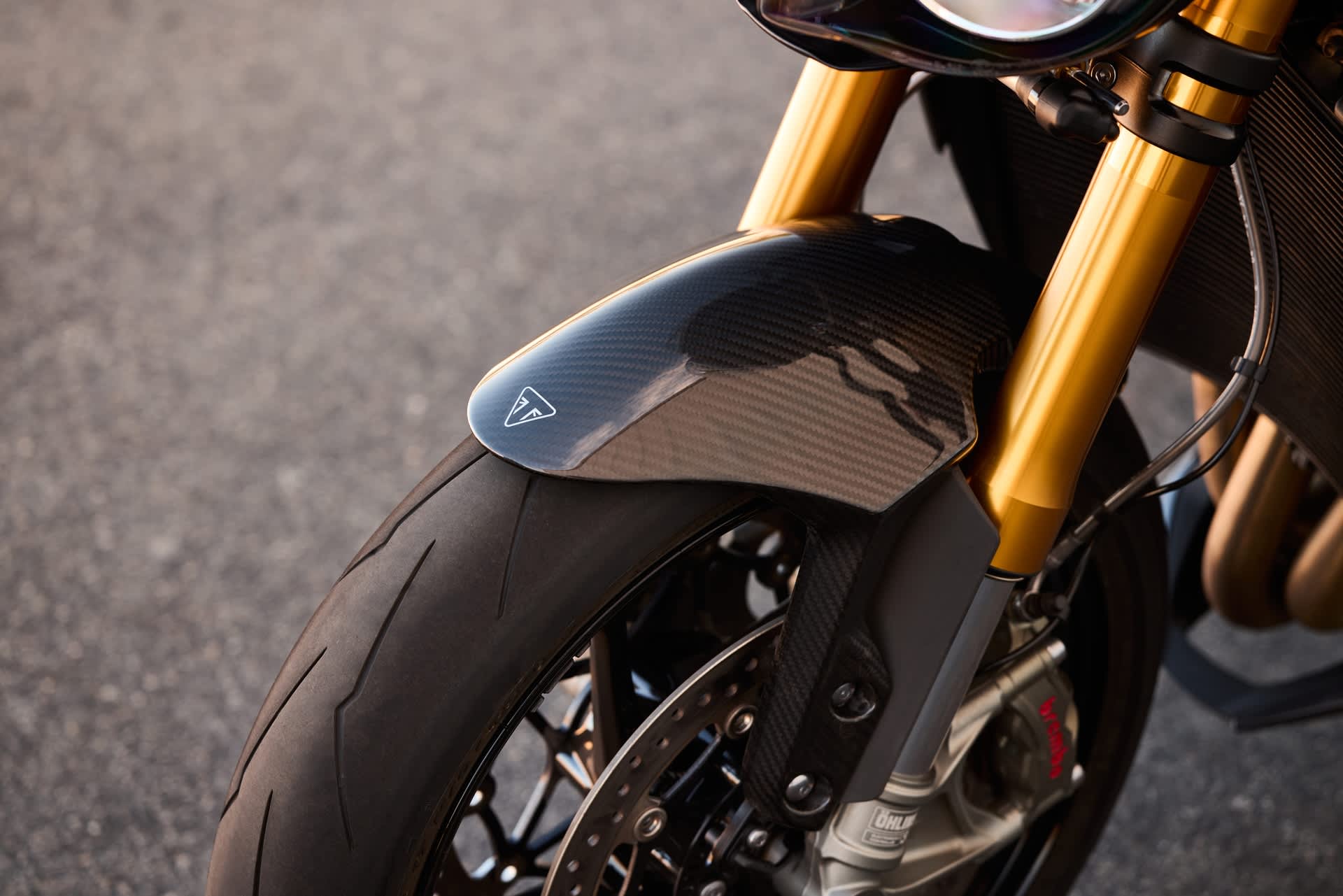 Carbon fibre front mudguard