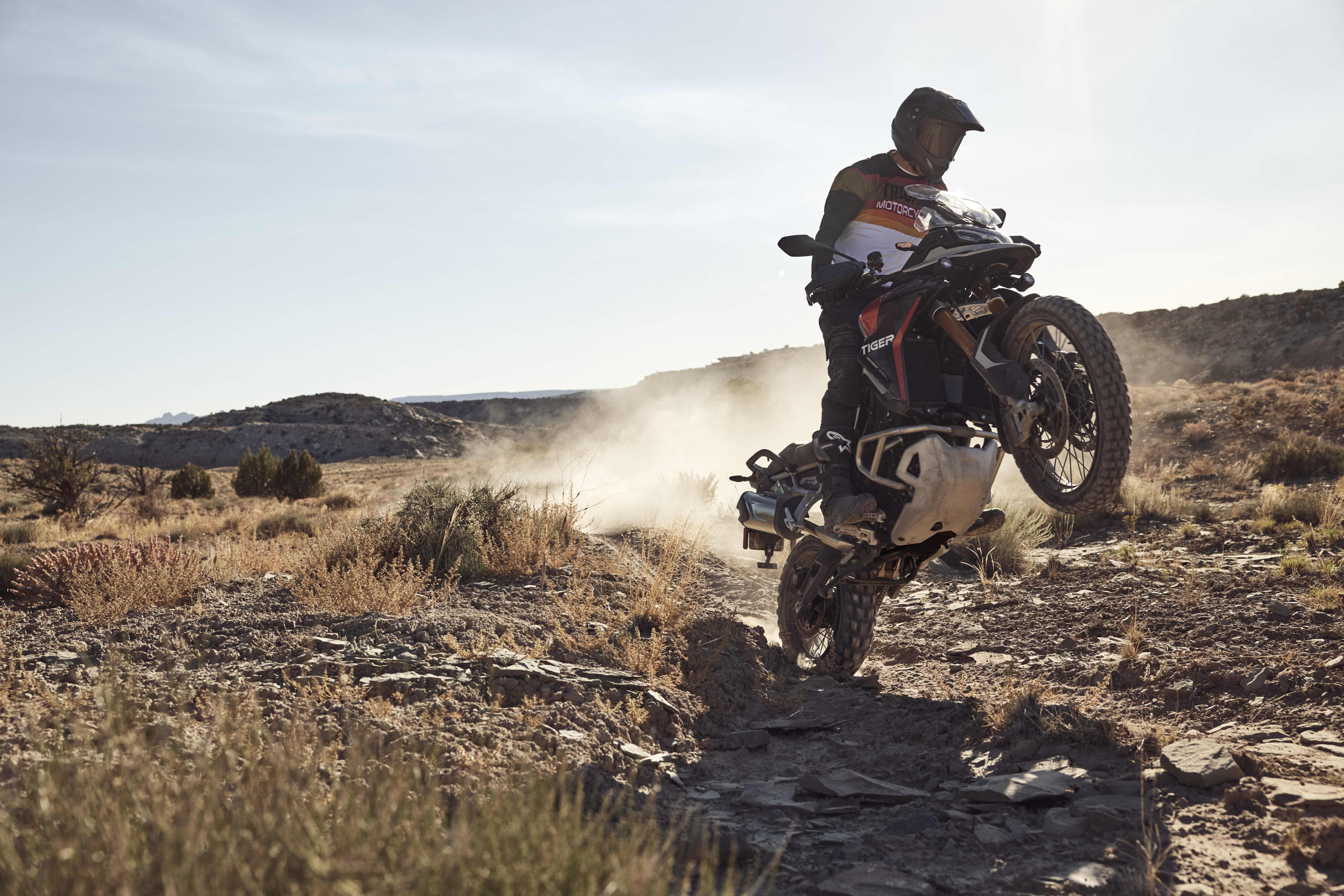 Tiger 900 Rally Pro