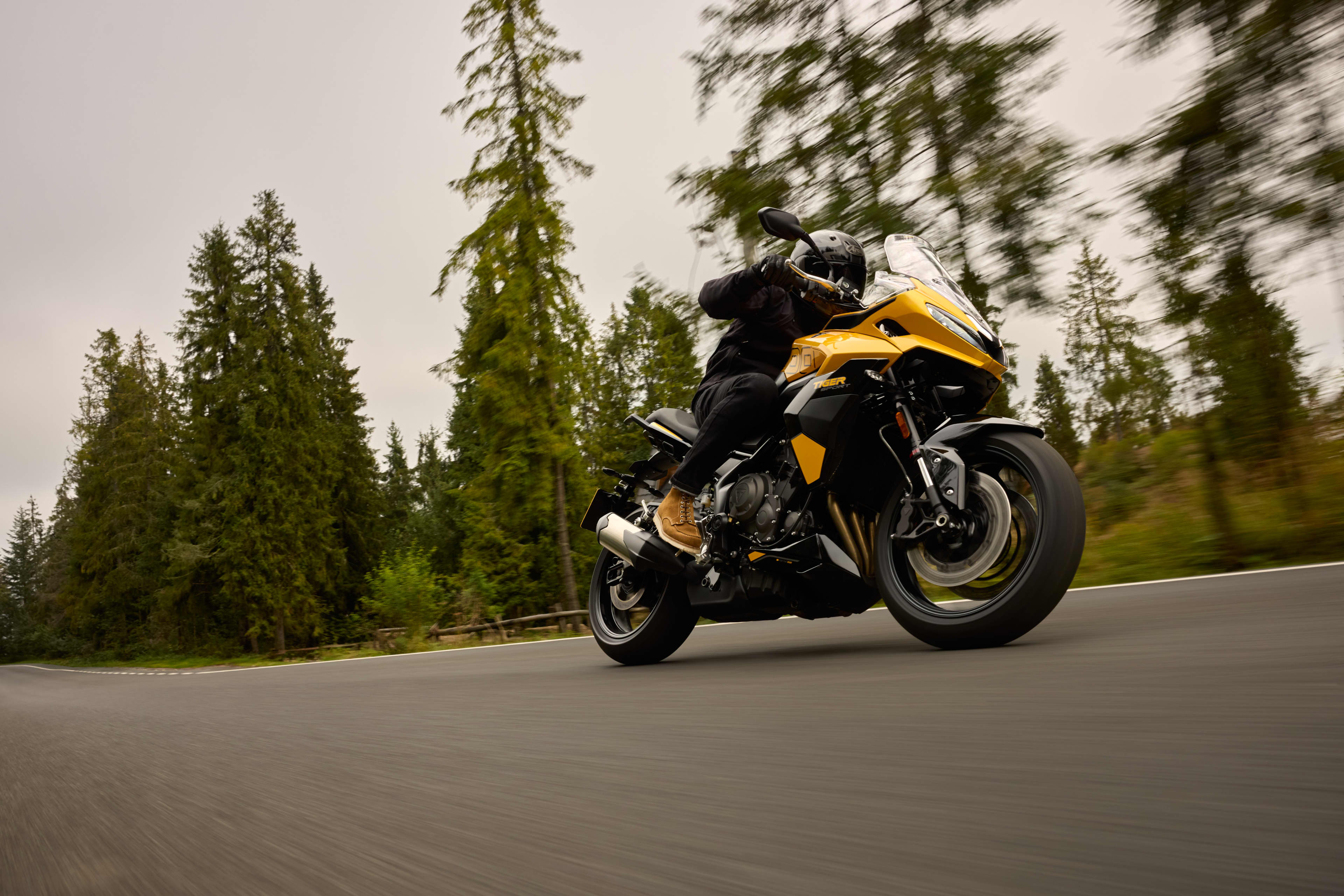 Tiger Sport 800