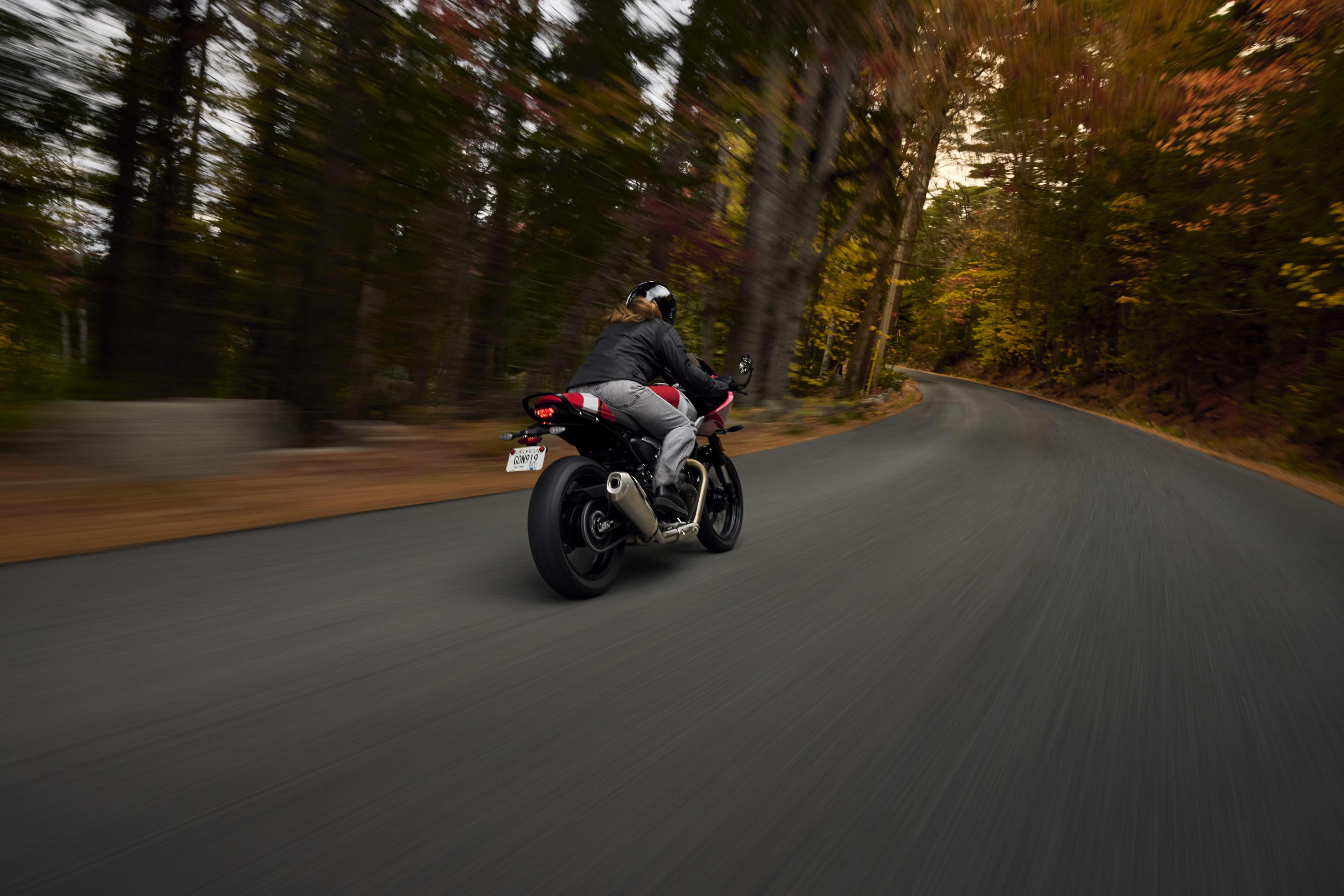 Back right view of a rider on Thruxton 400 on a road in a forest