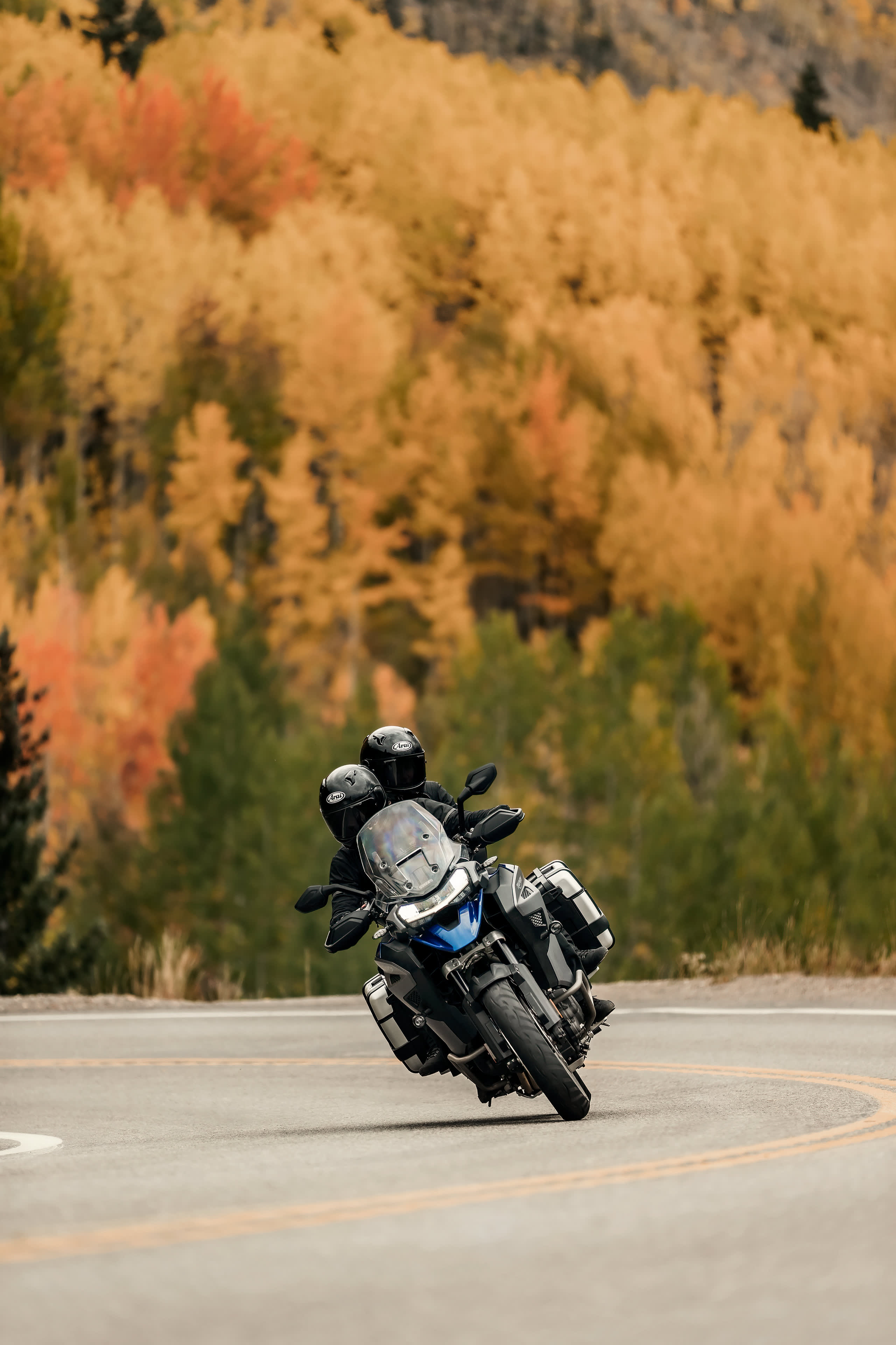 Tiger 1200 GT Explorer