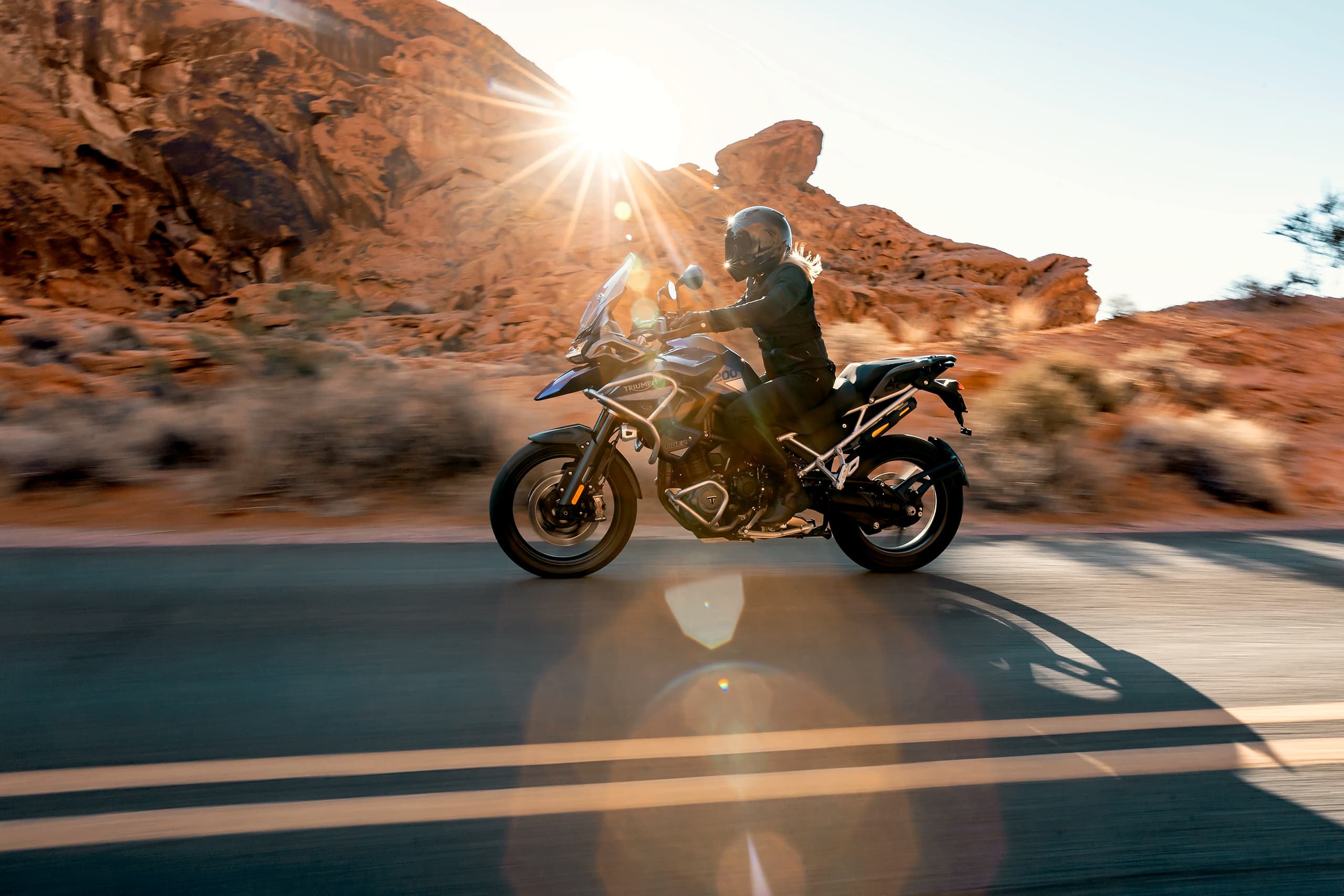 Tiger 1200 GT Pro