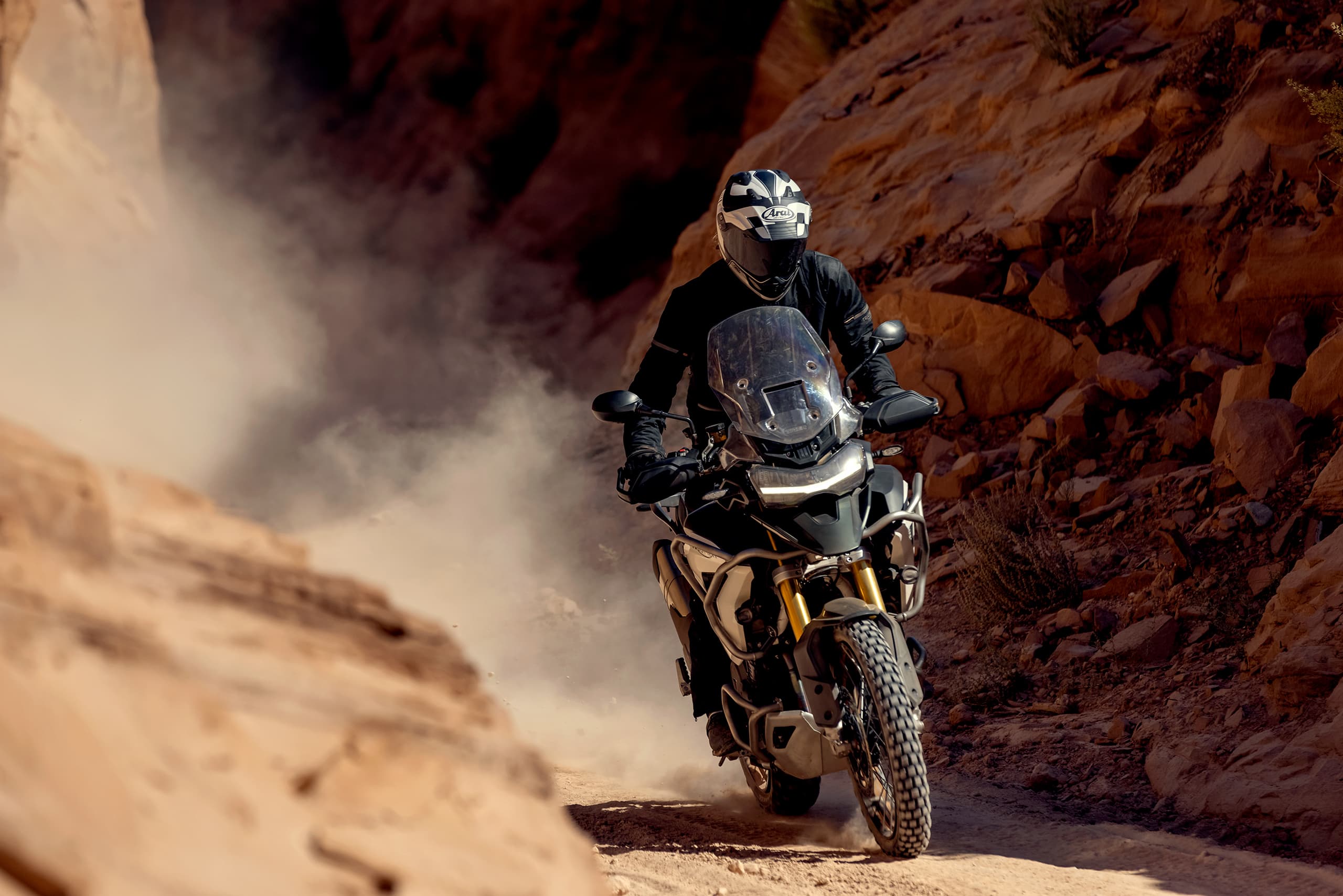 Tiger 1200 Rally Pro