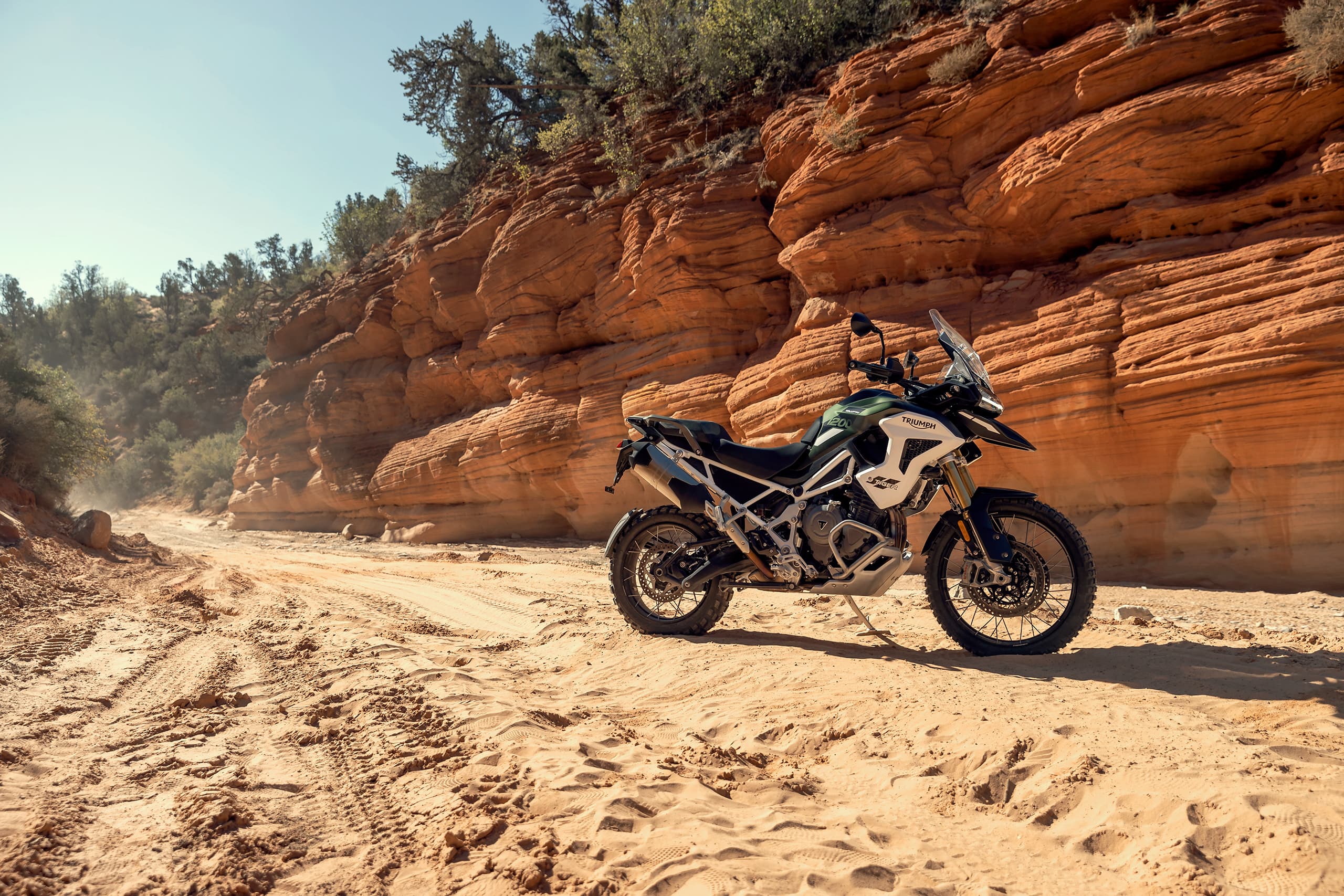 Tiger 1200 Rally Pro Tiger 1200 Rally Pro