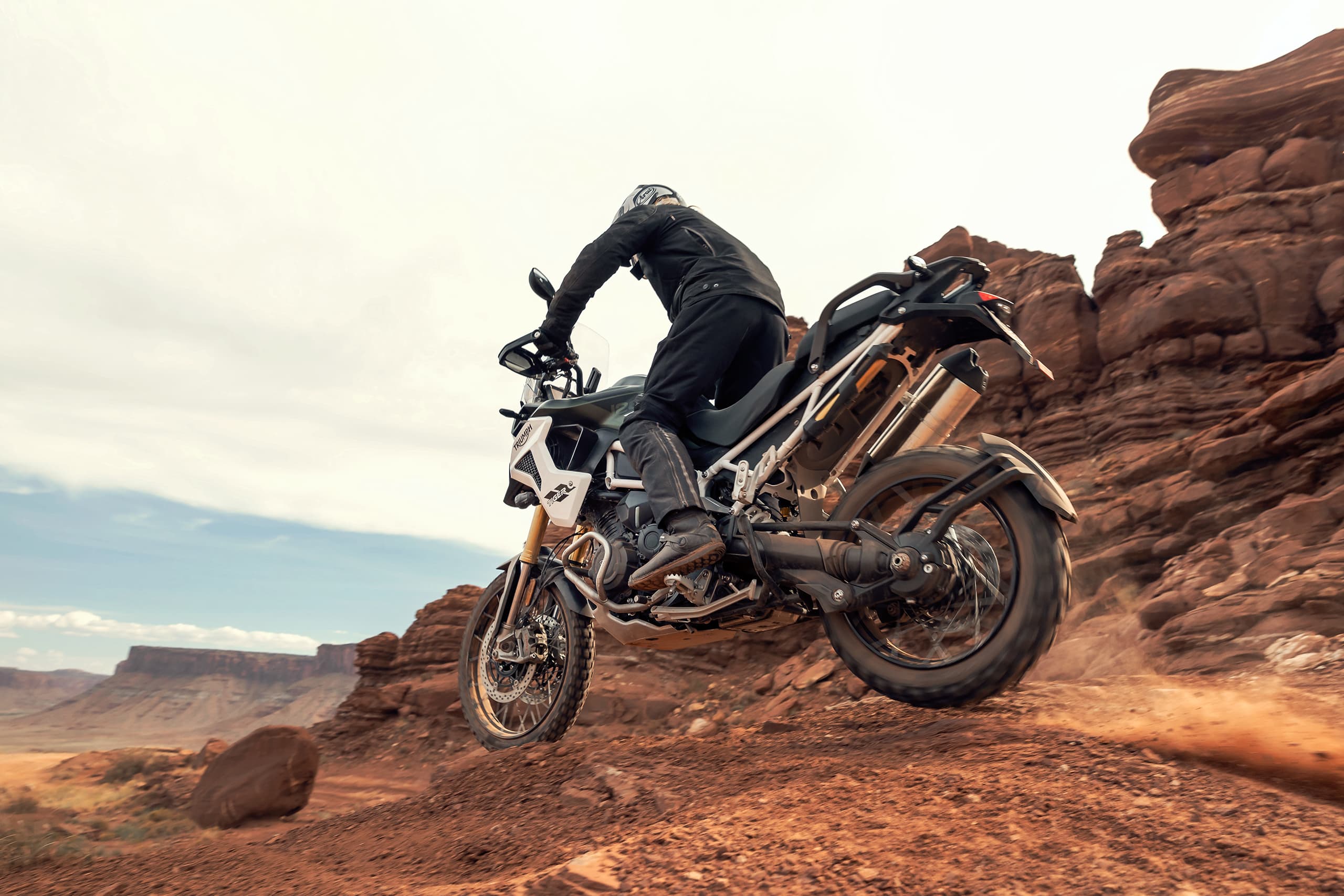 Tiger 1200 Rally Pro