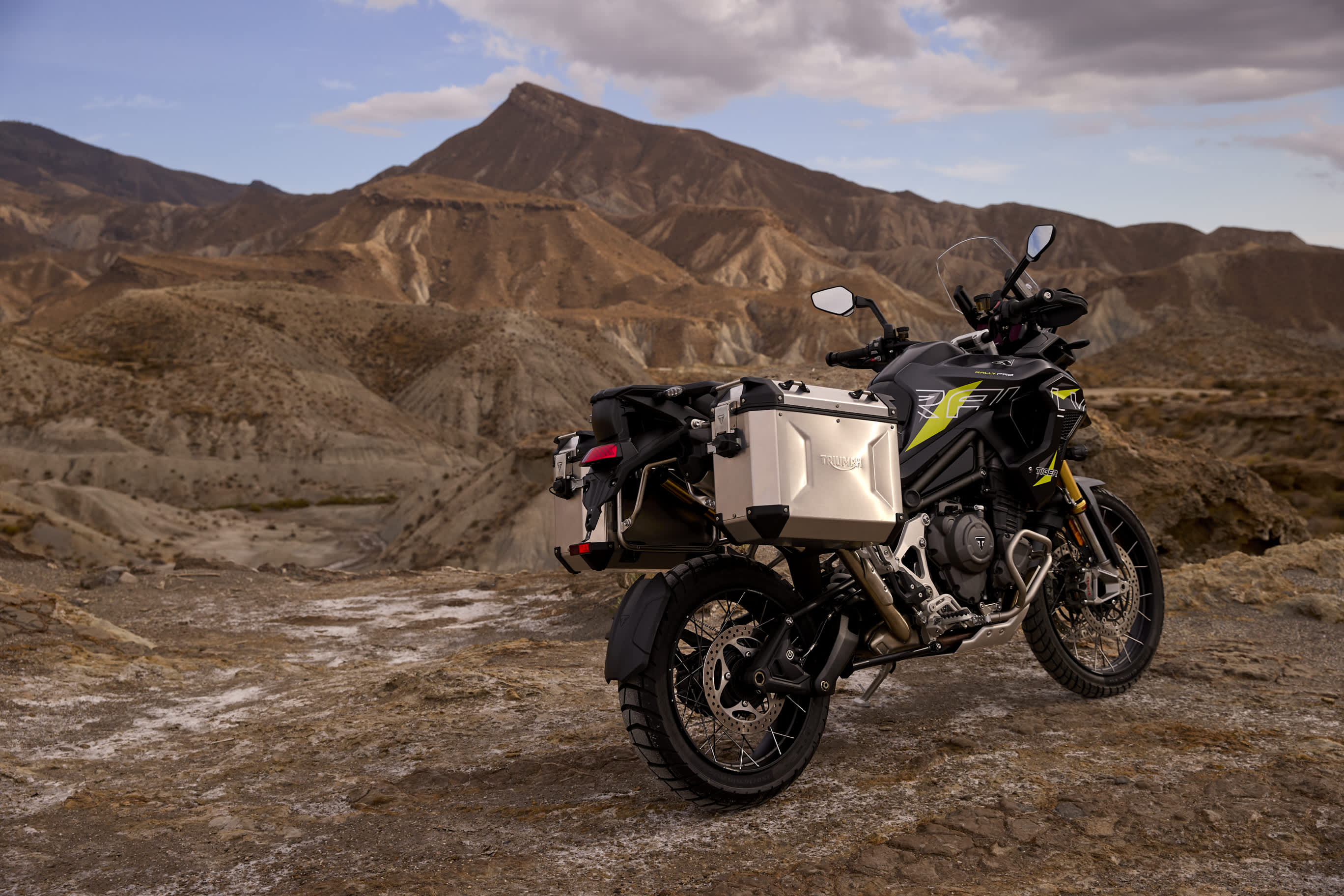Tiger 1200 Family