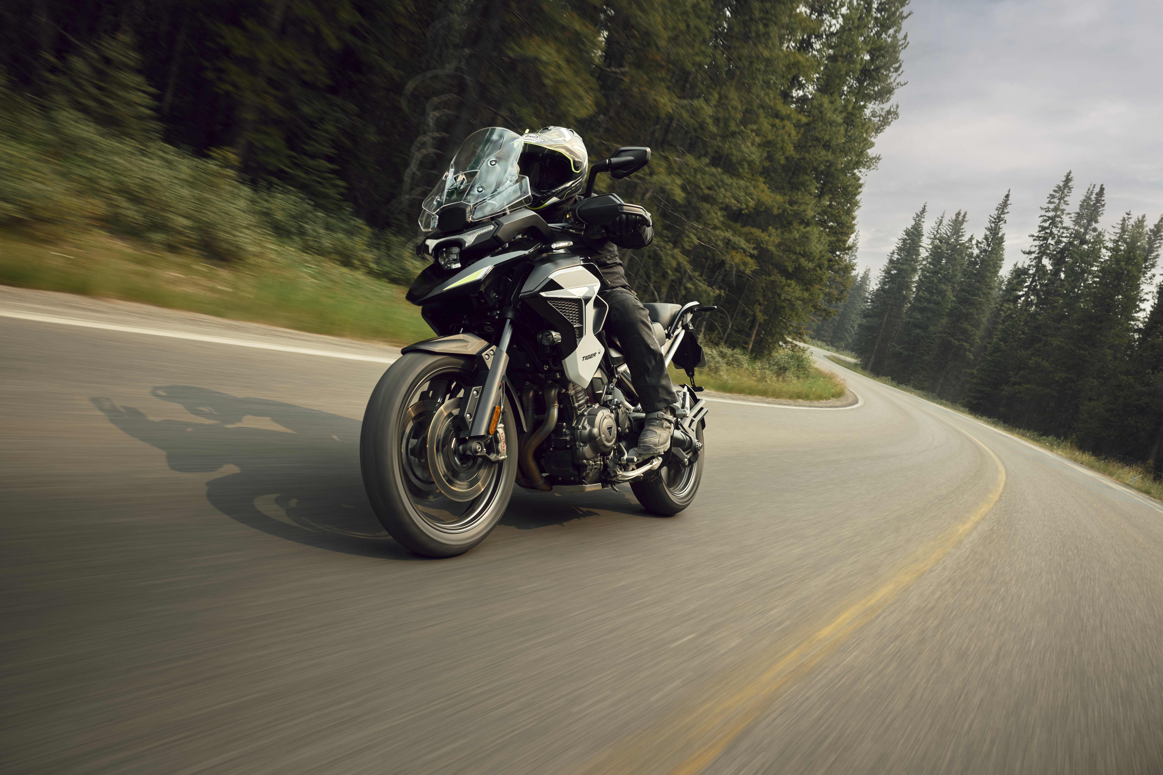 Action front tracking shot from a low angle showing a rider on a Triumph Tiger 1200 GT Pro navigating a pine forest road.