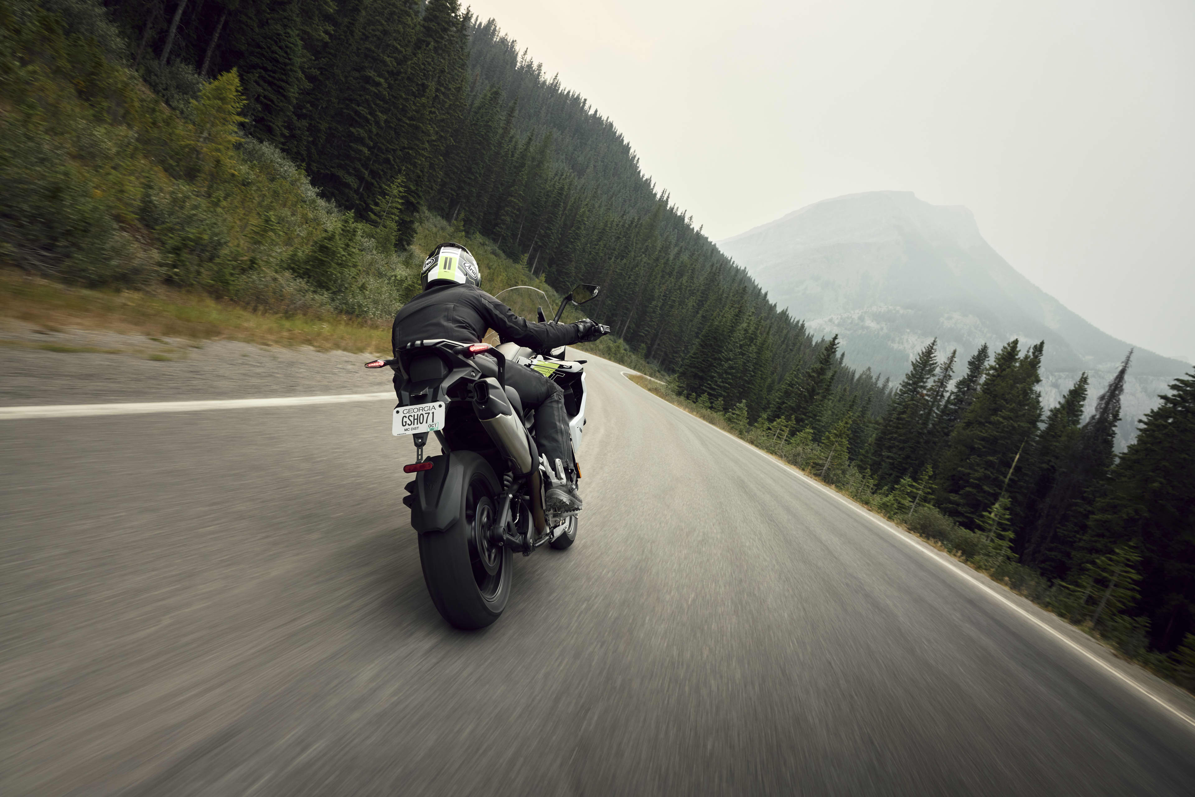 Action shot of a rider on a Triumph Tiger 1200 GT Pro cruising along a mountain pass surrounded by pine trees.