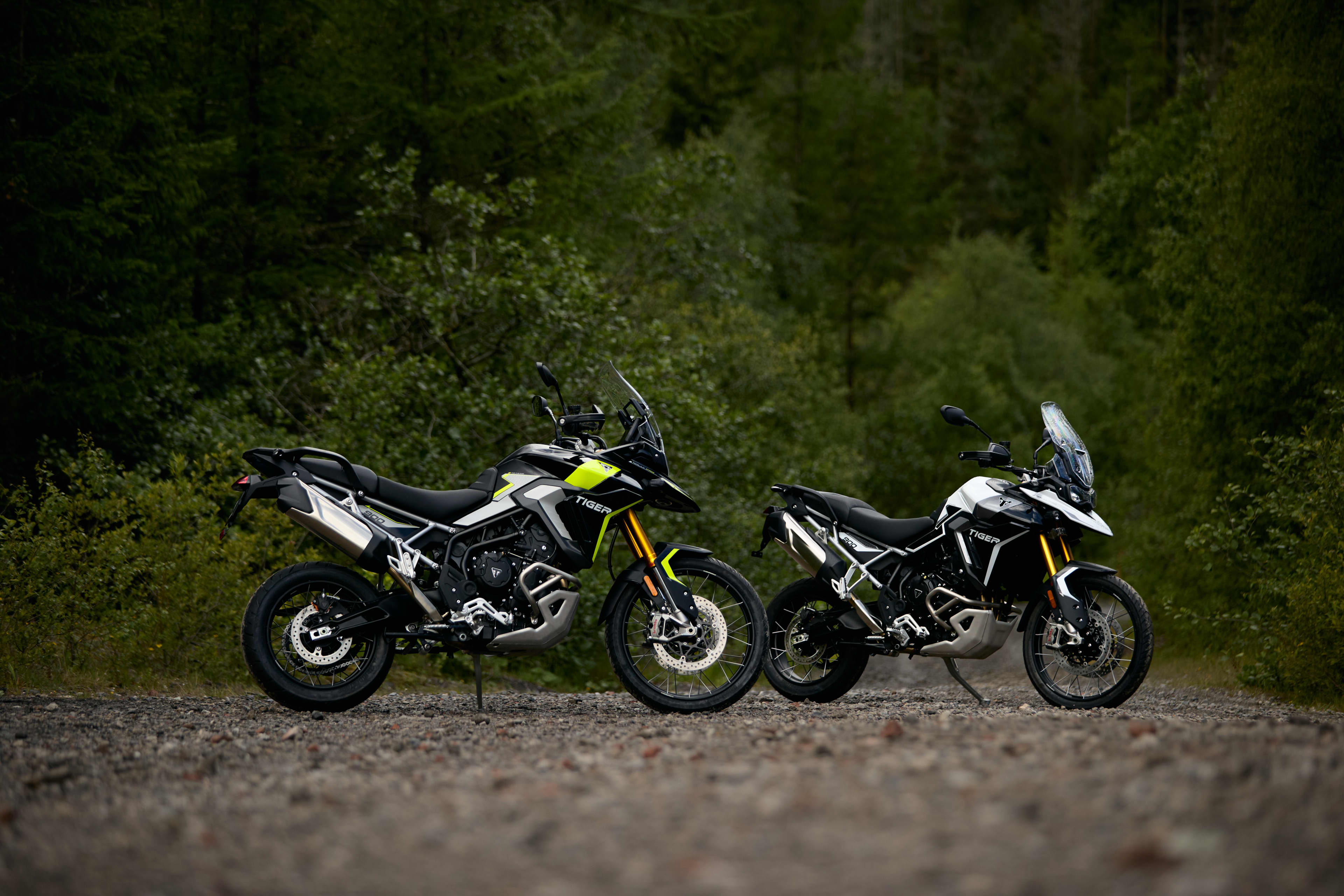 Tiger 900 Family