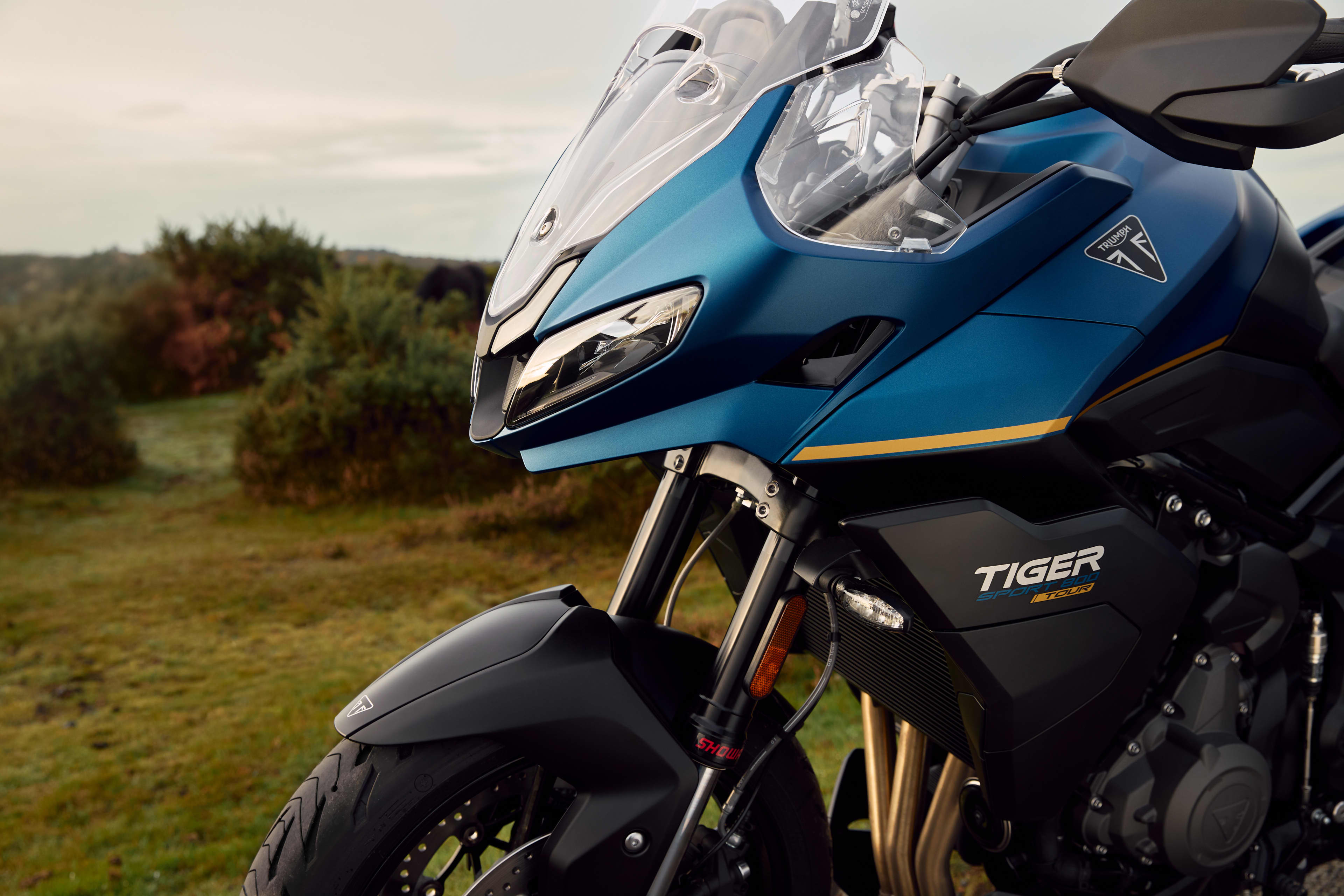 Close up view of the front left hand side of Tiger Sport 800 Tour