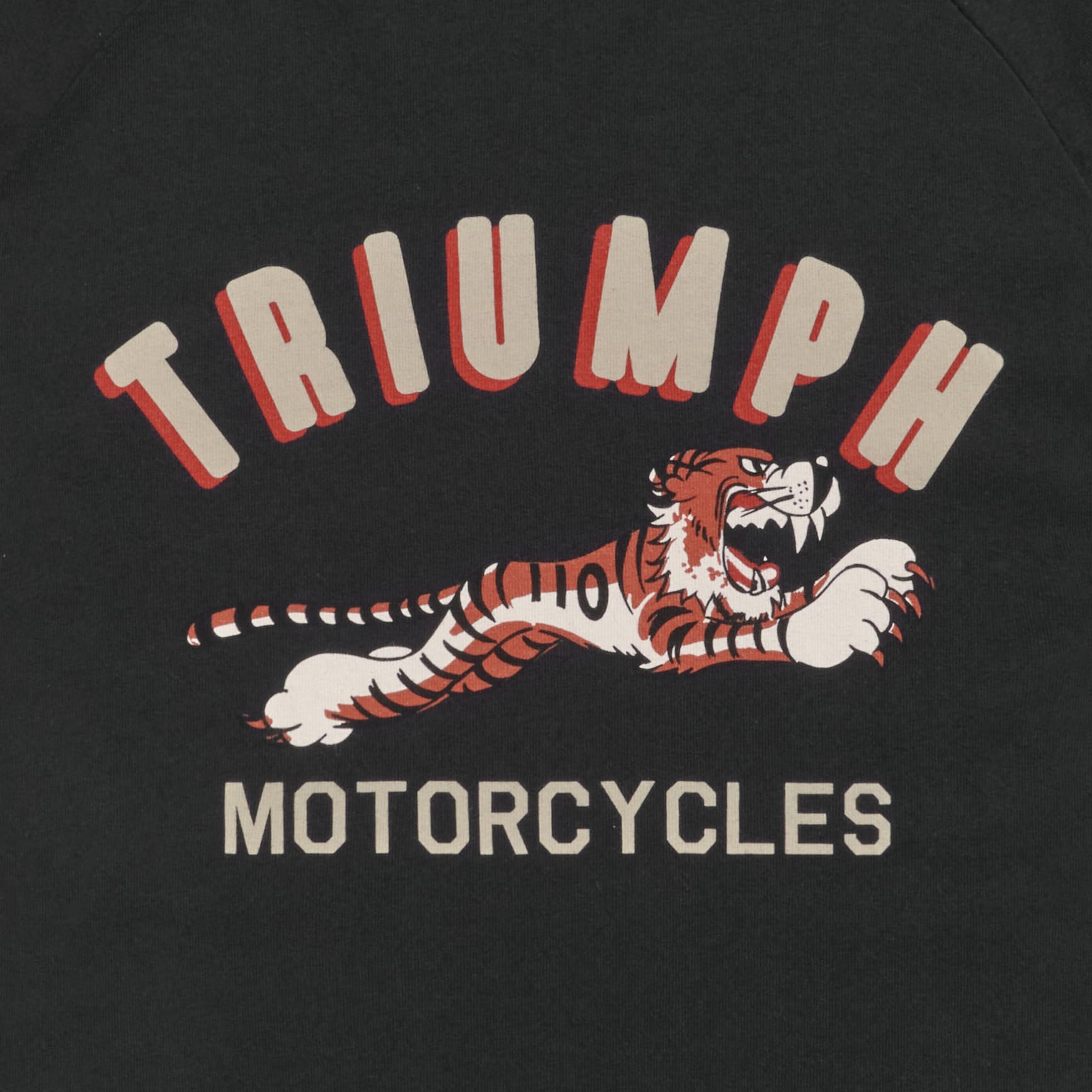 Rider in a denim jacket and open-face helmet standing beside a Triumph motorcycle on a palm-lined street.