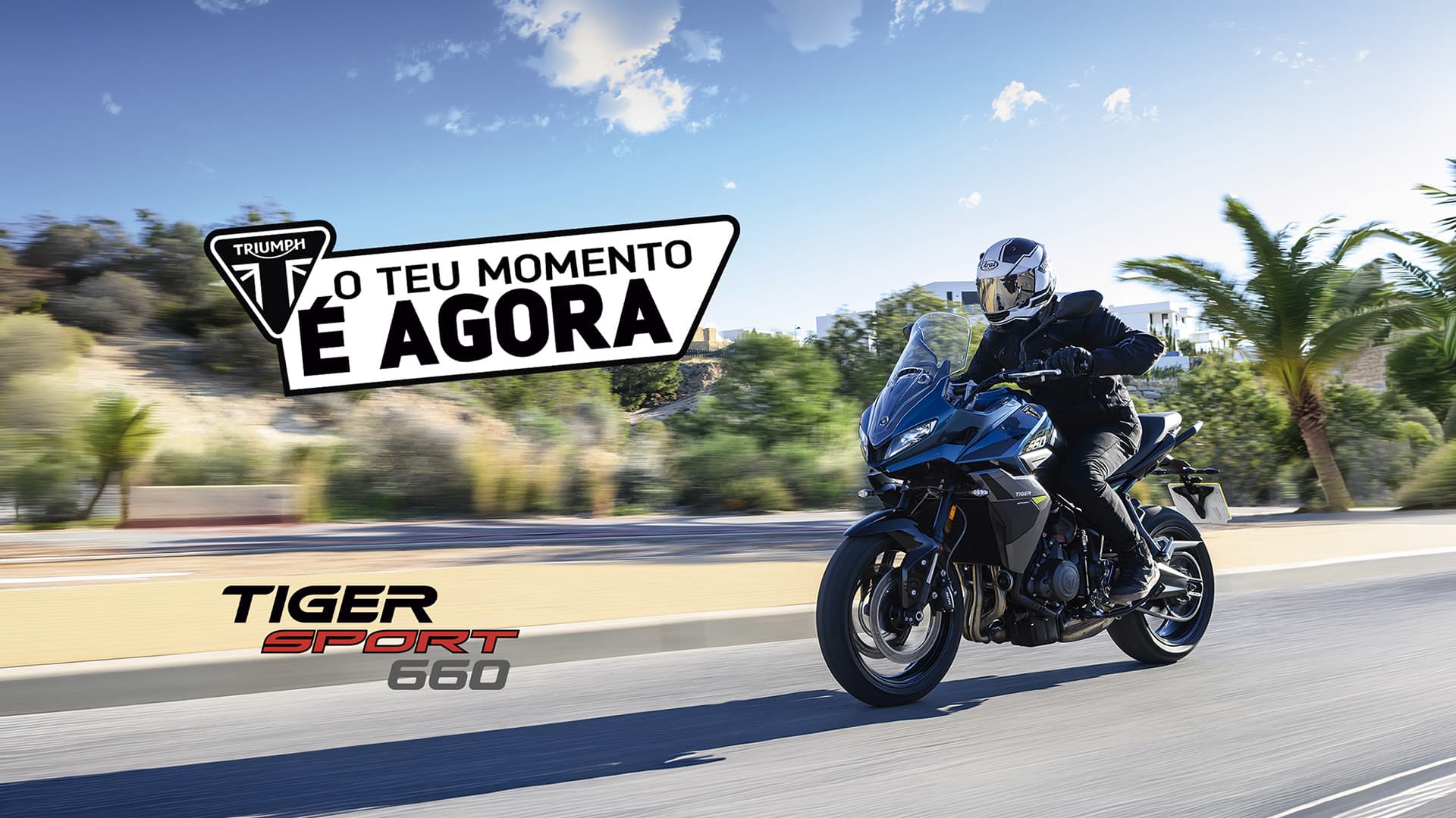 Tiger Sport 660
