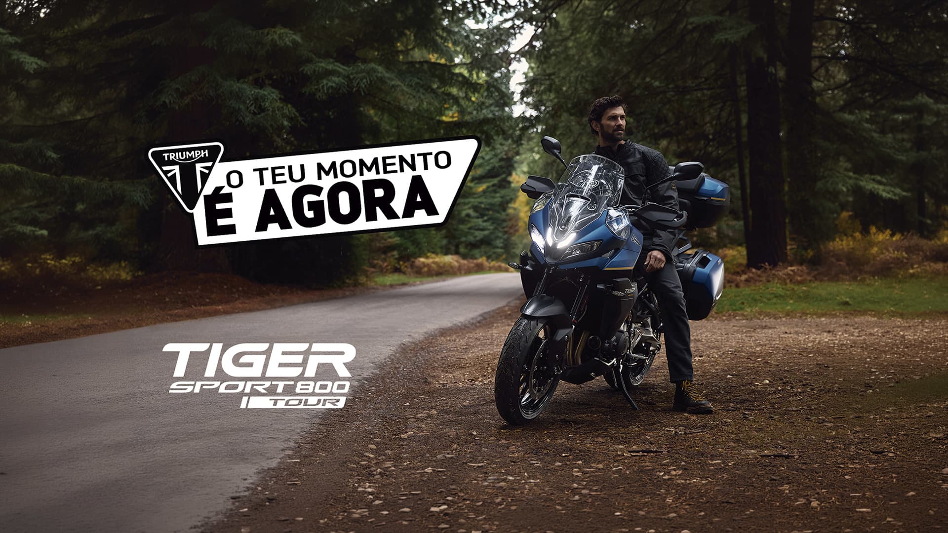 Tiger Sport 800 Tour