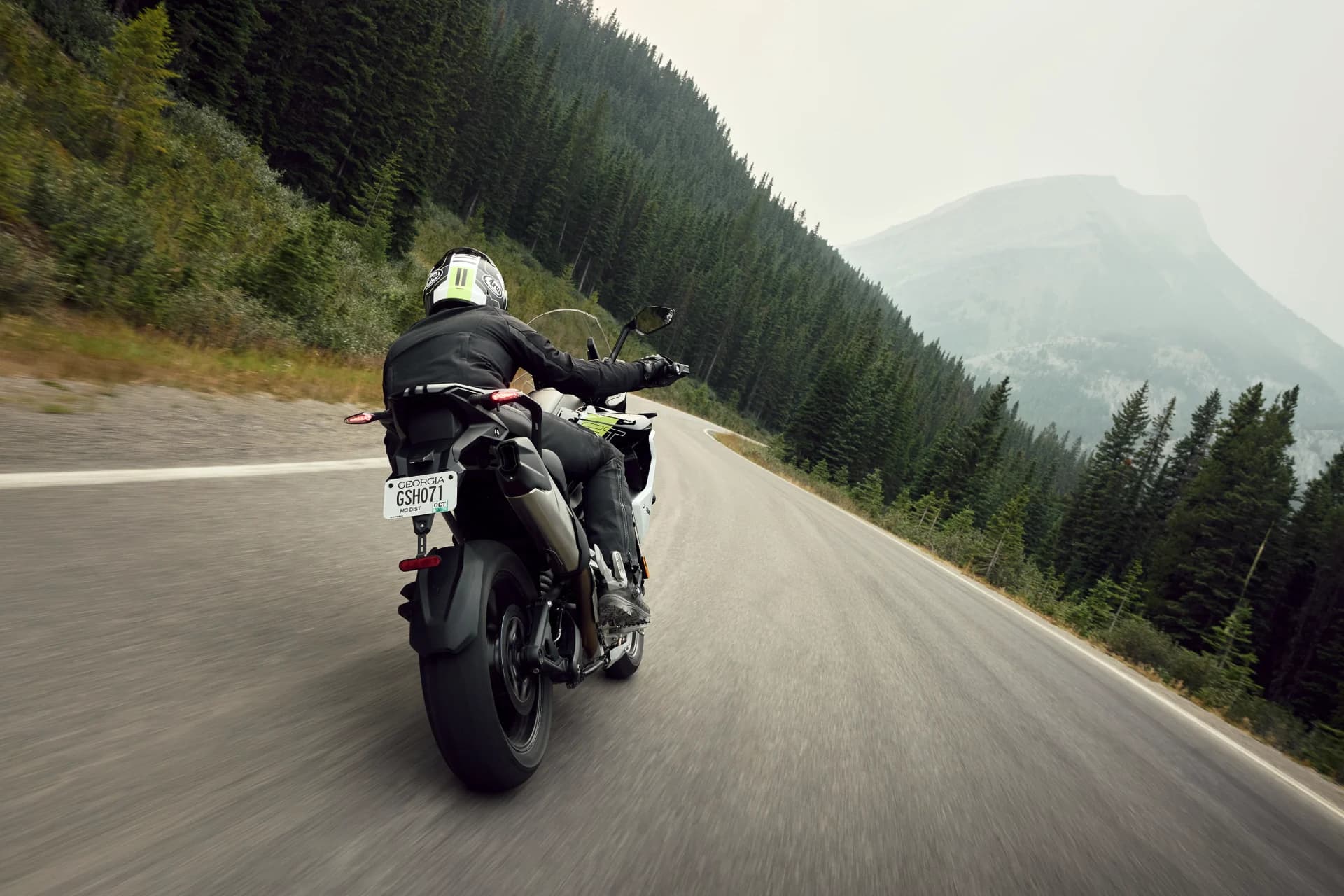 Action tracking shot from behind showing a rider on a Triumph Tiger 1200 GT Pro navigating a scenic forest road.