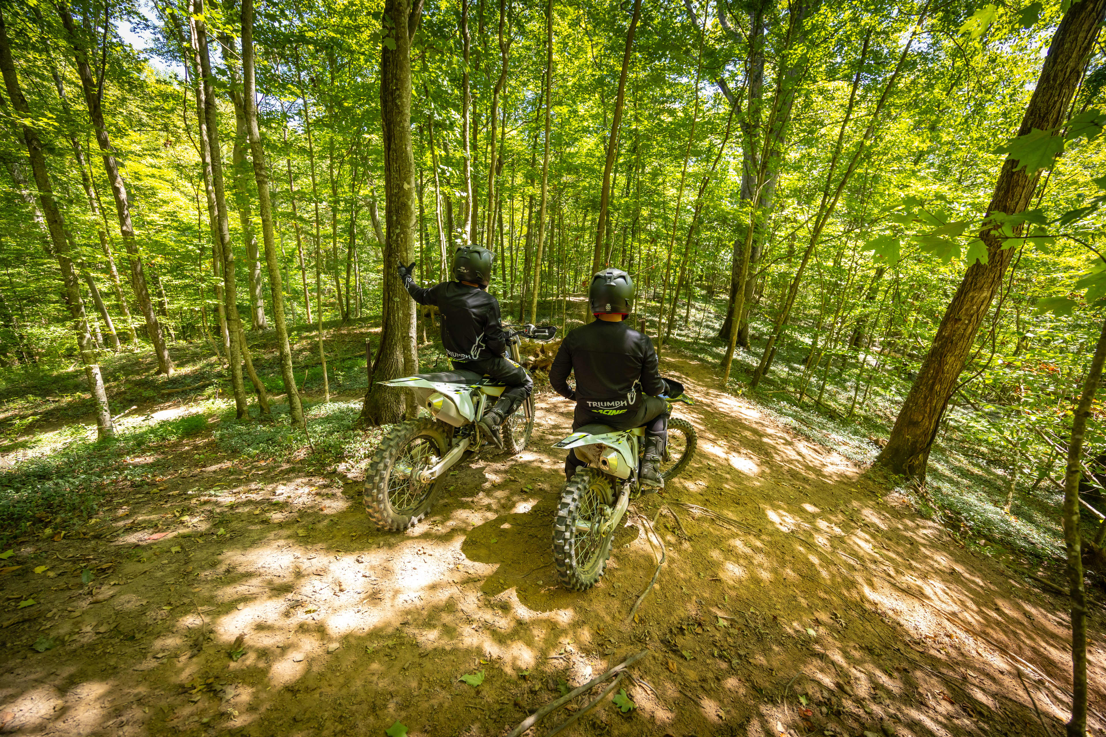 Triumph Cross Country Motorcycles with two riders looking into the forest