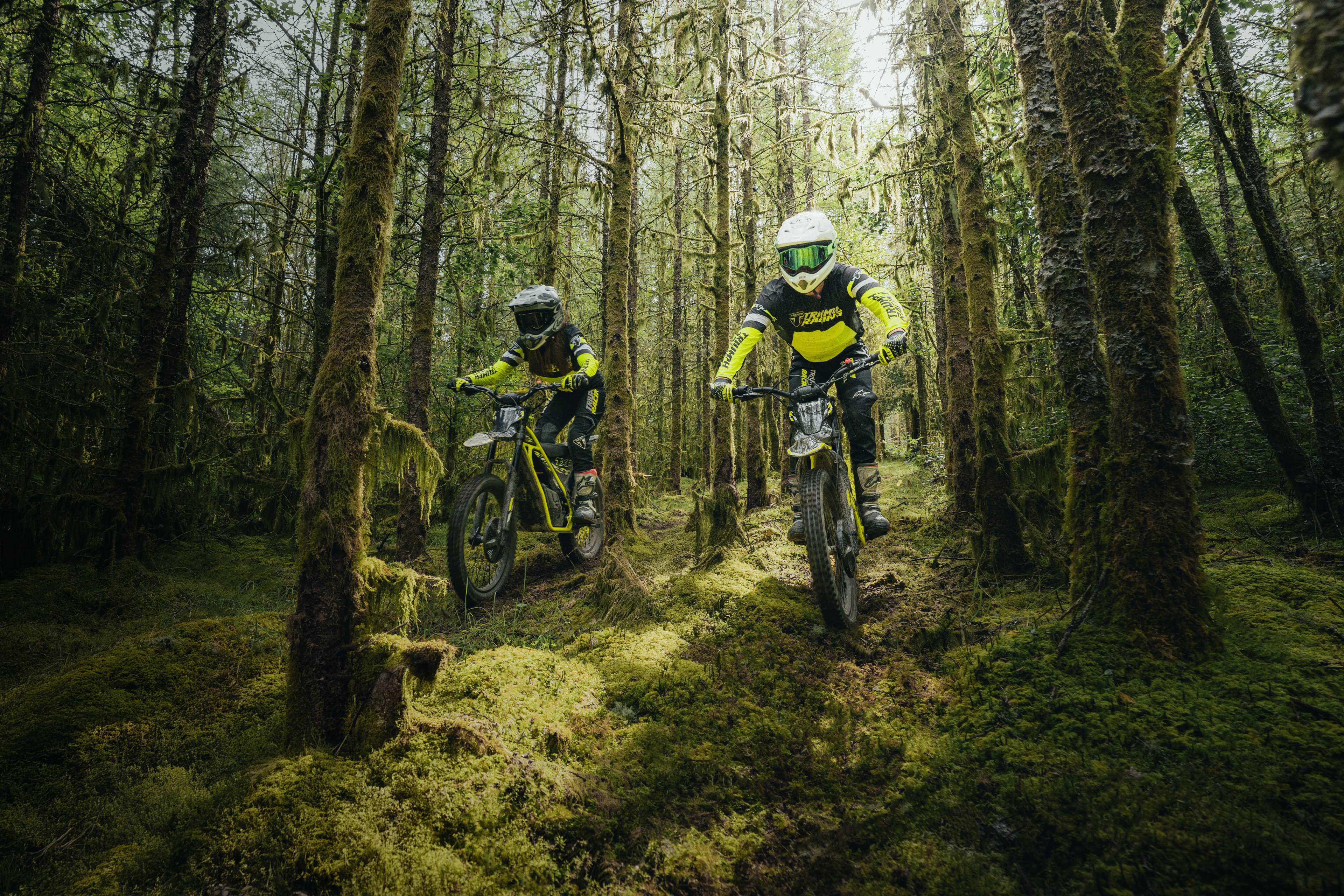 Triumph TXP-24 bikes off-roading through a green woodland trail.
