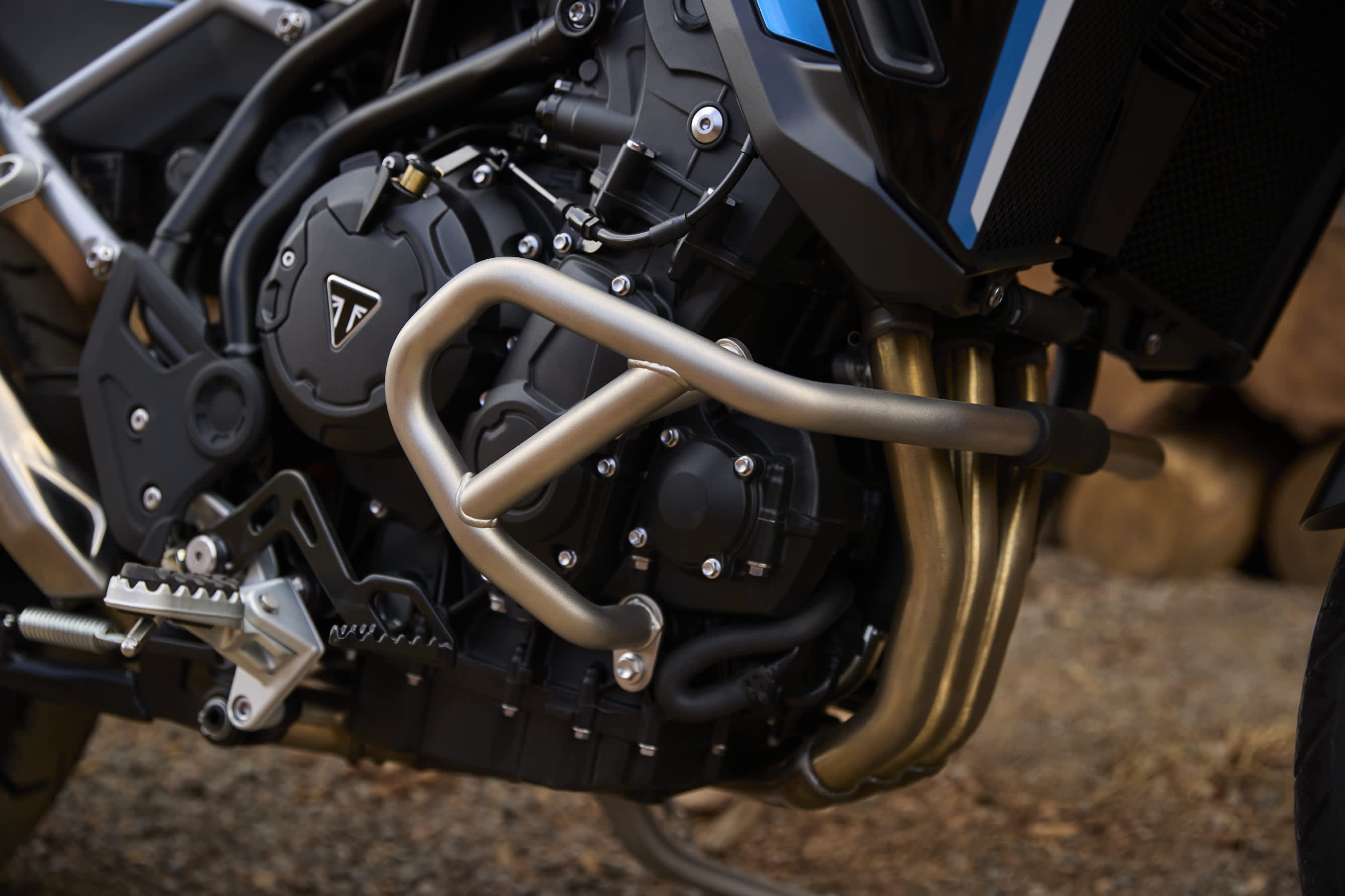 Tiger 900 Alpine Edition