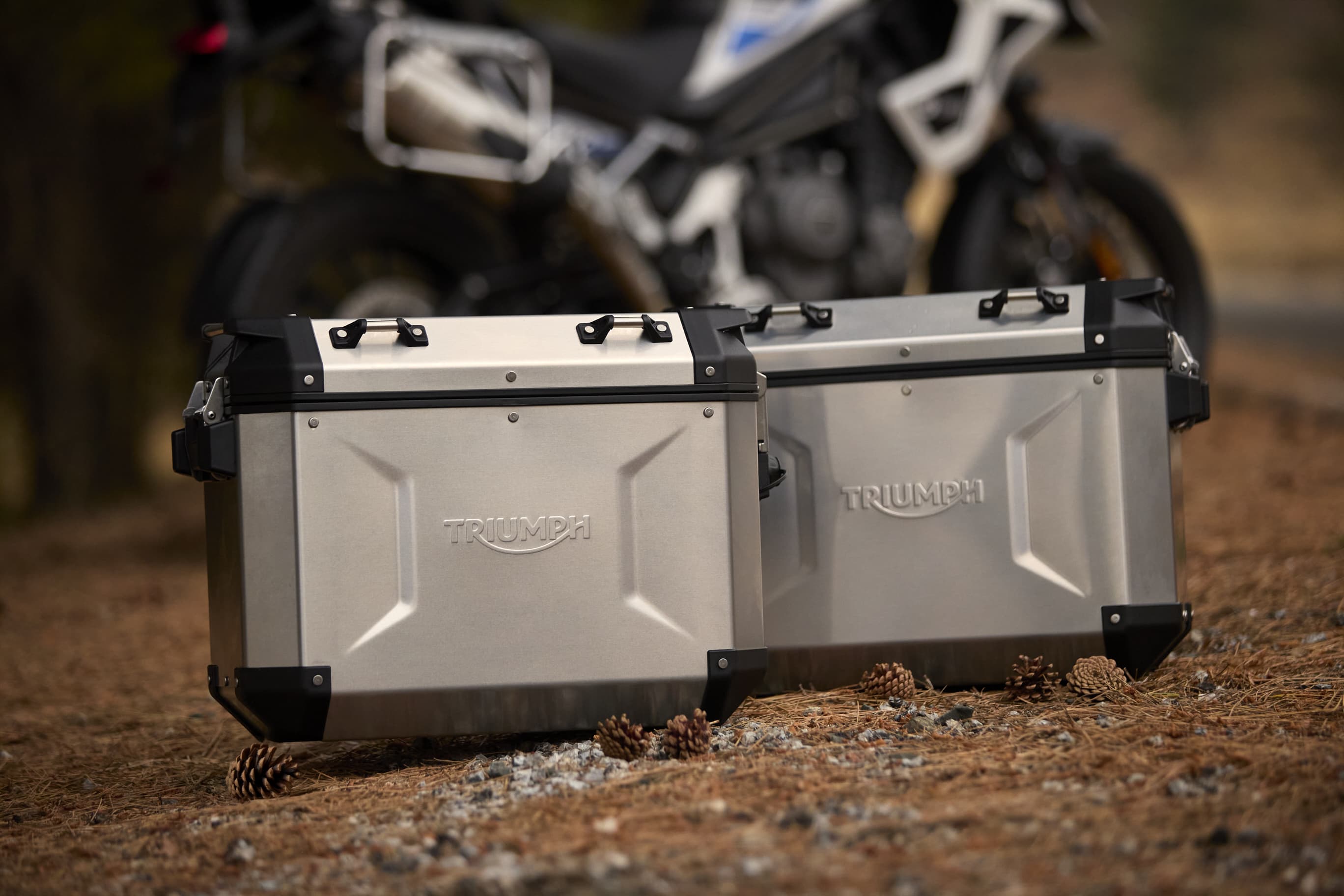 [Add alt tag to your image]