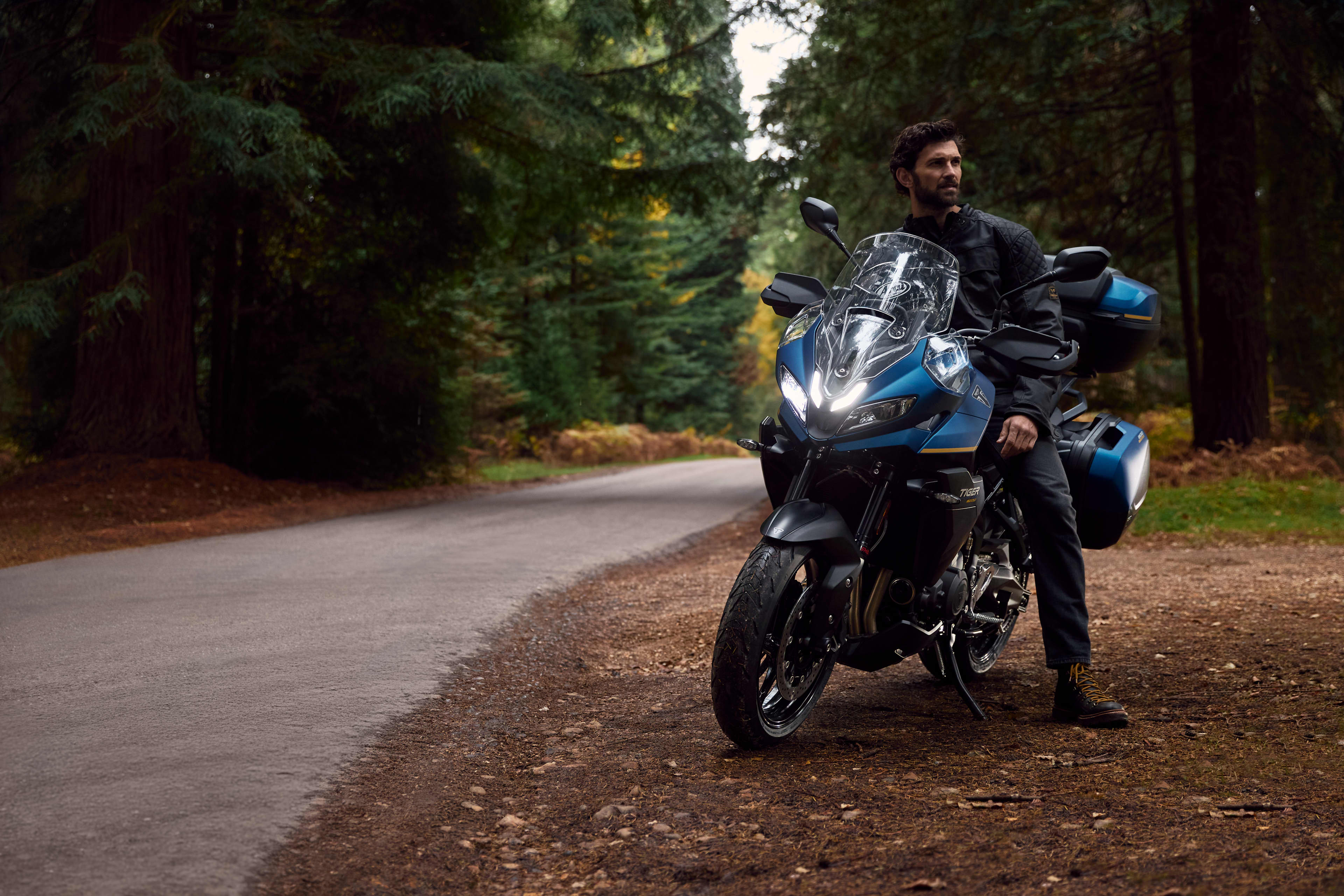 Front view of a man sat on the Tiger Sport 800 Tour in a forest