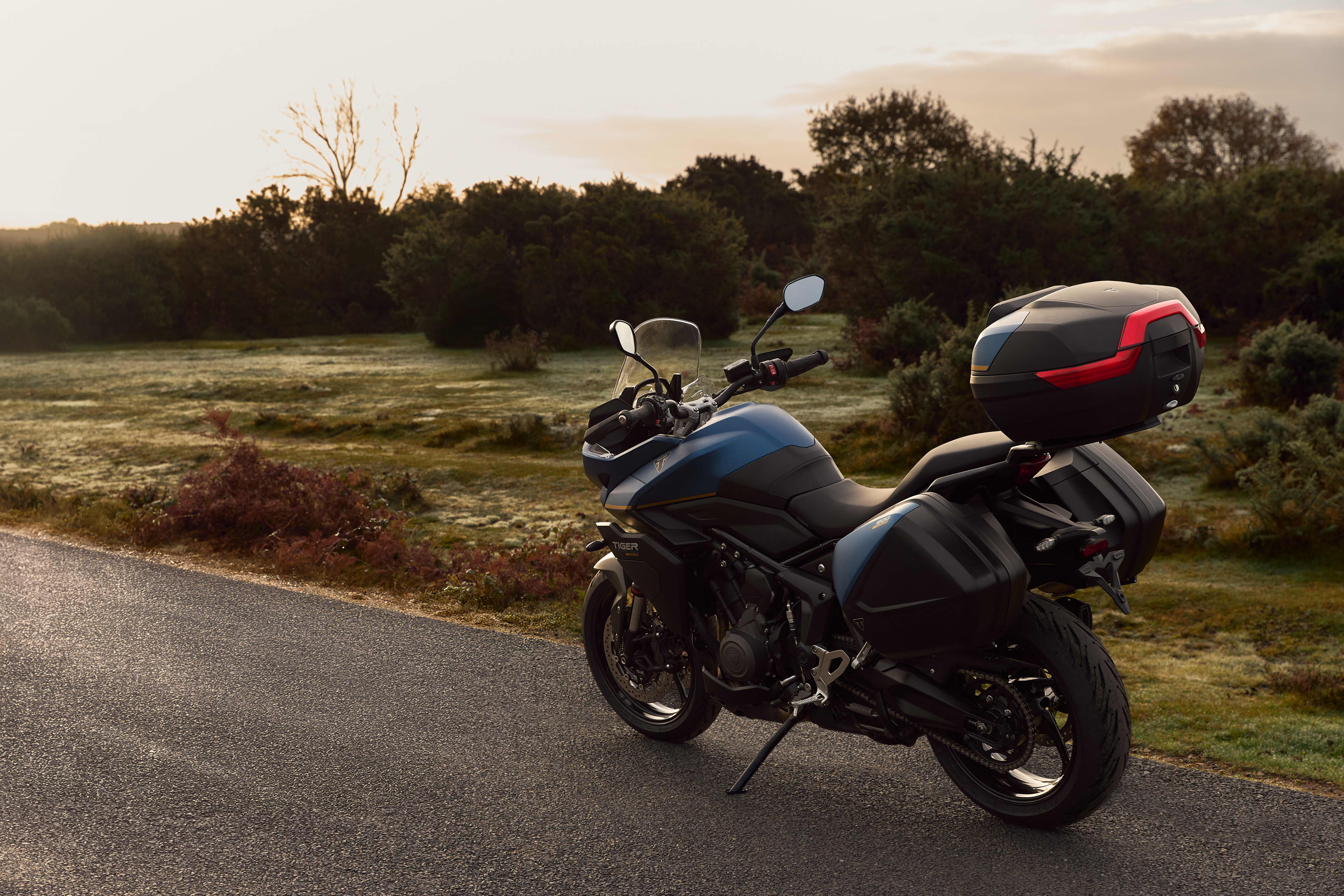 Back left view of Tiger Sport 800 Tour on a road with a field in the background
