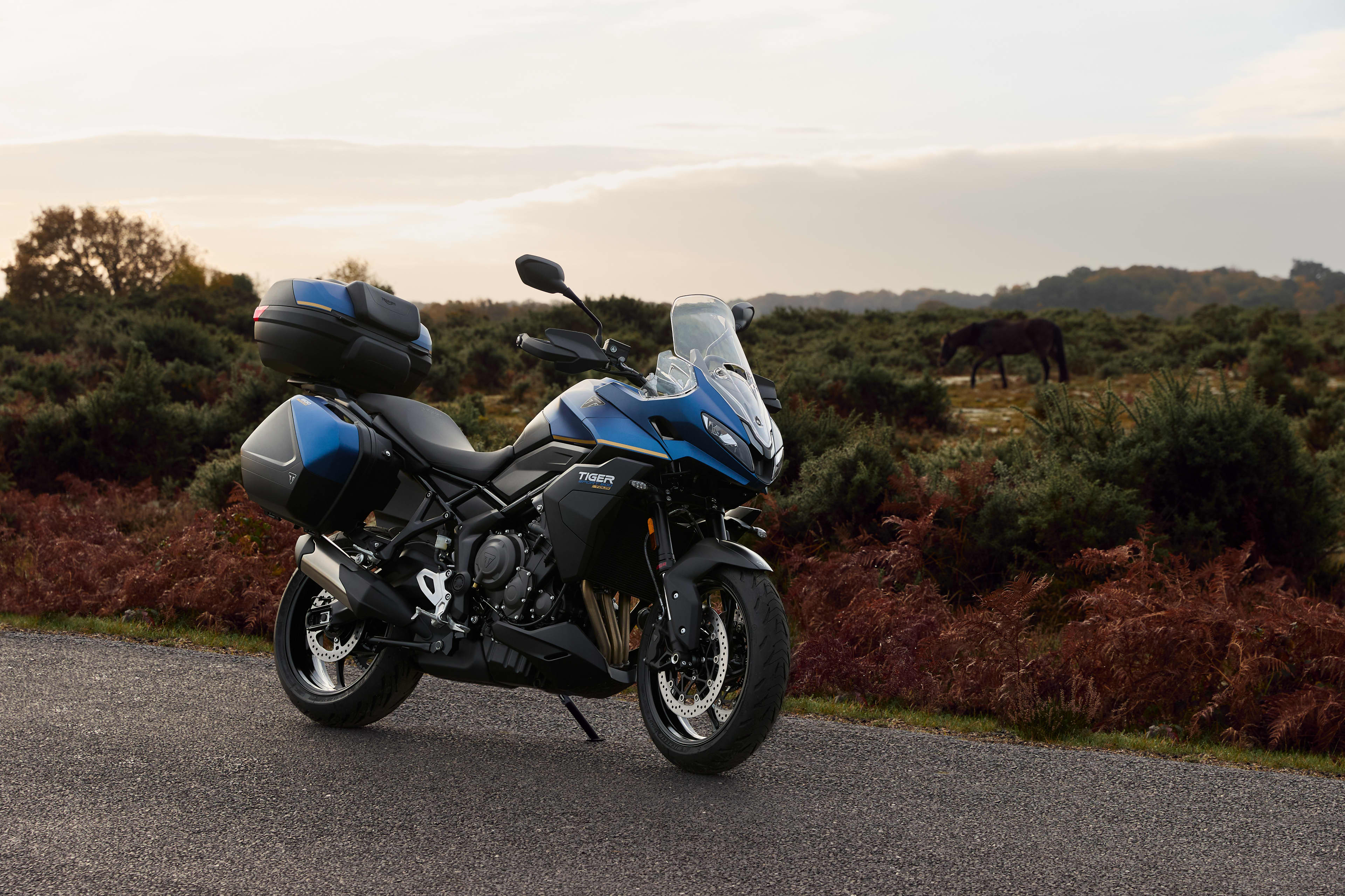 Right hand side of Tiger Sport 800 Tour parked on a road with nature in the background